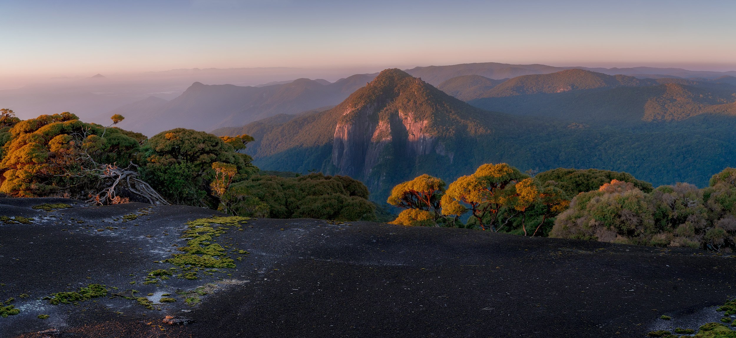 morning glow - Daintree national park 2024