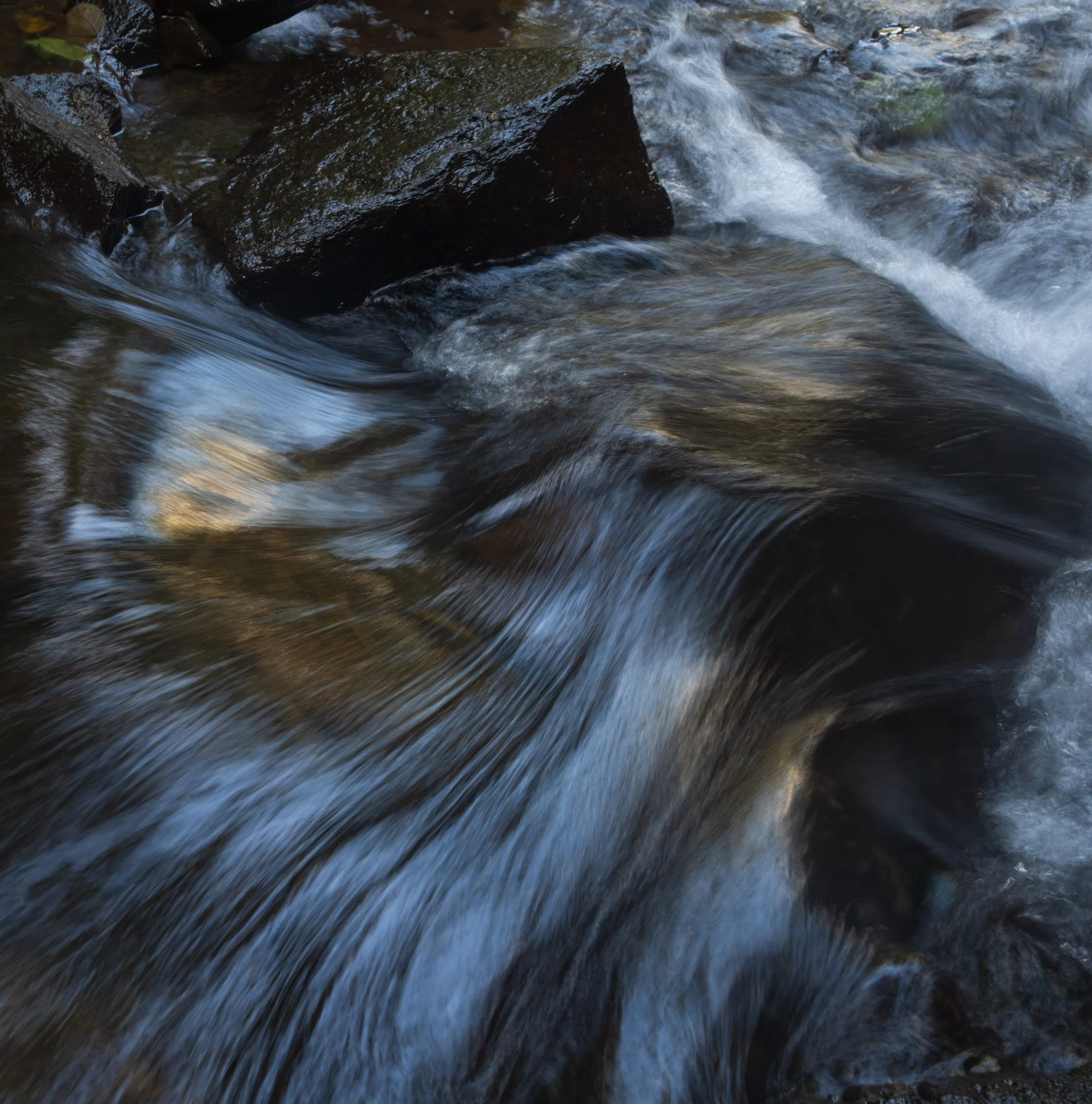 Golden Flow - Tully National park 2025