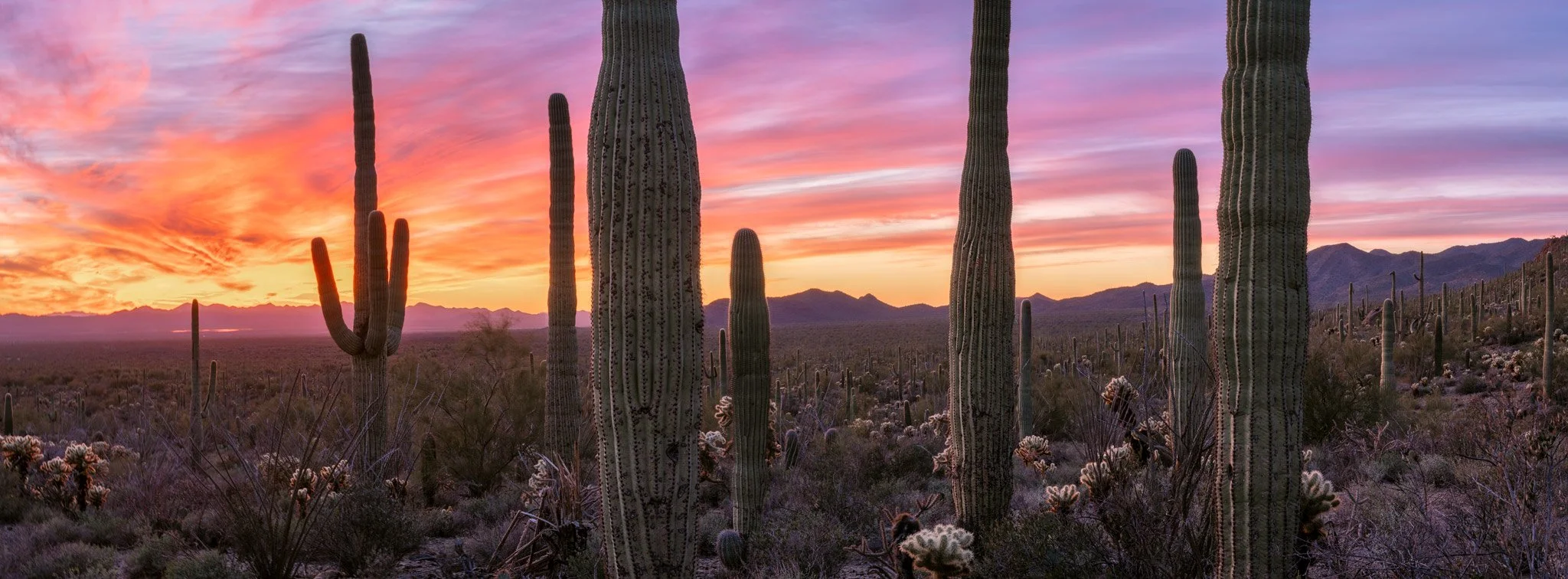 Arizona on Fire - Arizona 2026
