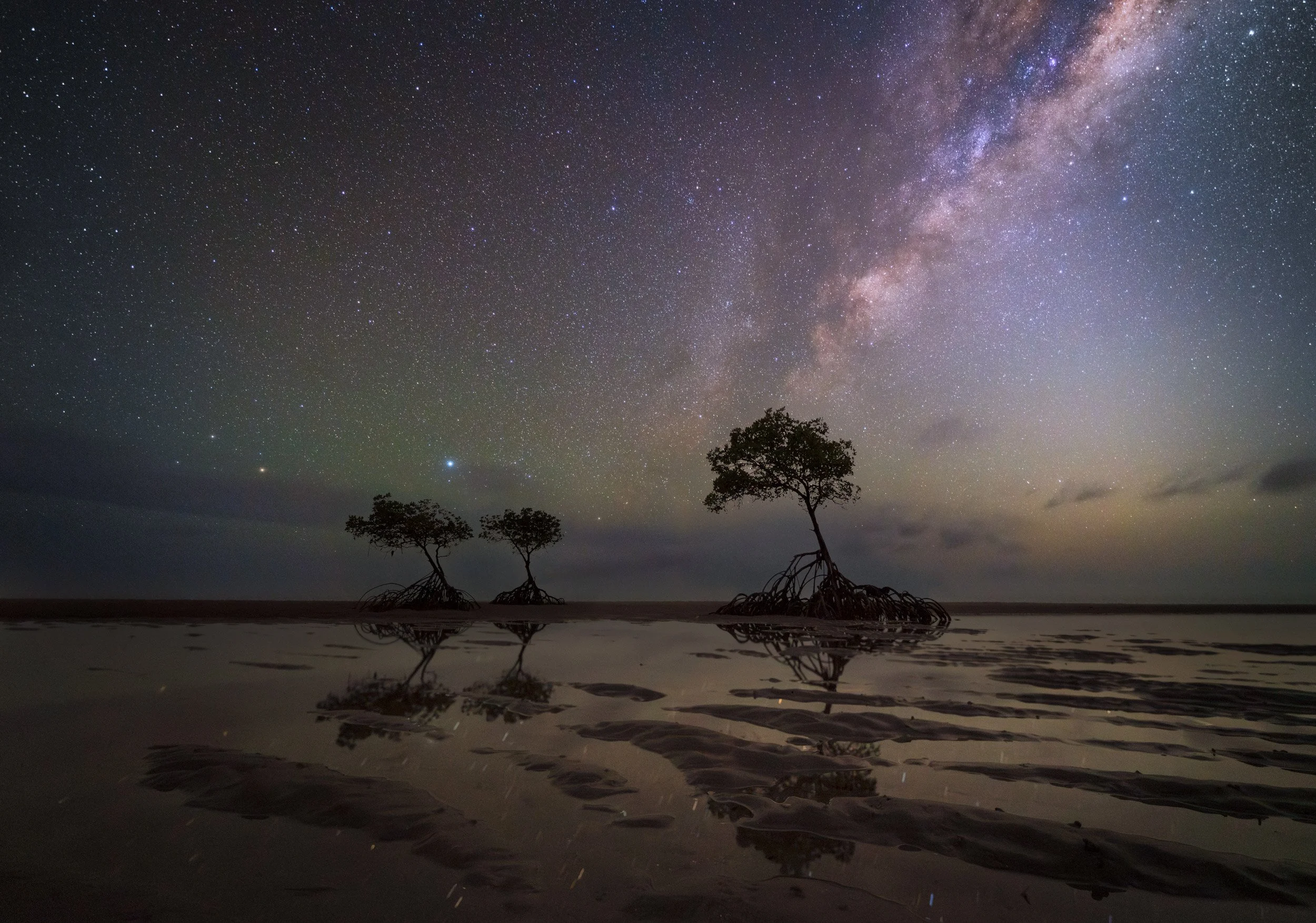 Under Southern Skies - Mowbray National Park 2025 