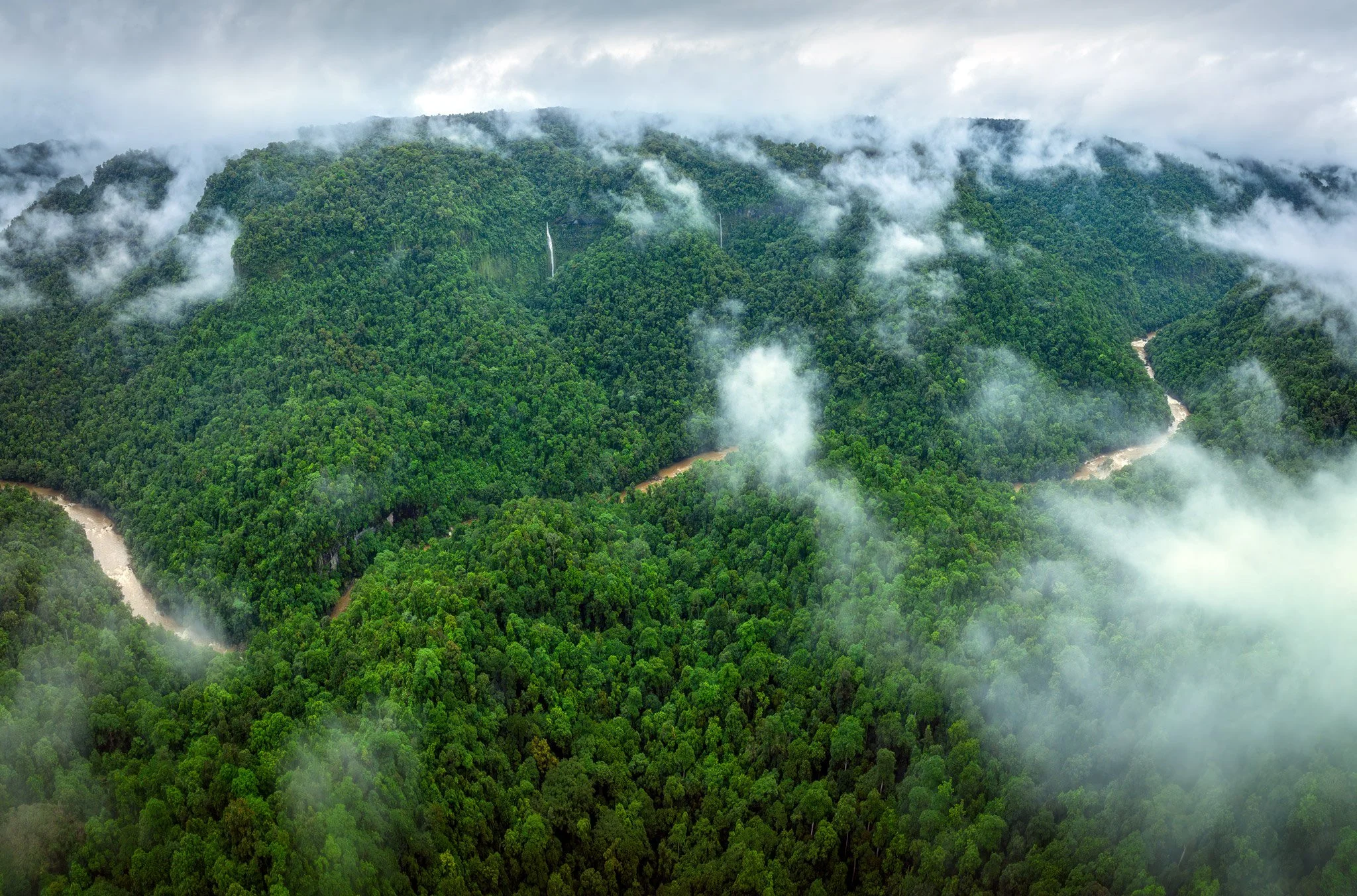 Seasonal Flow - Wooroonooran National park 2025 