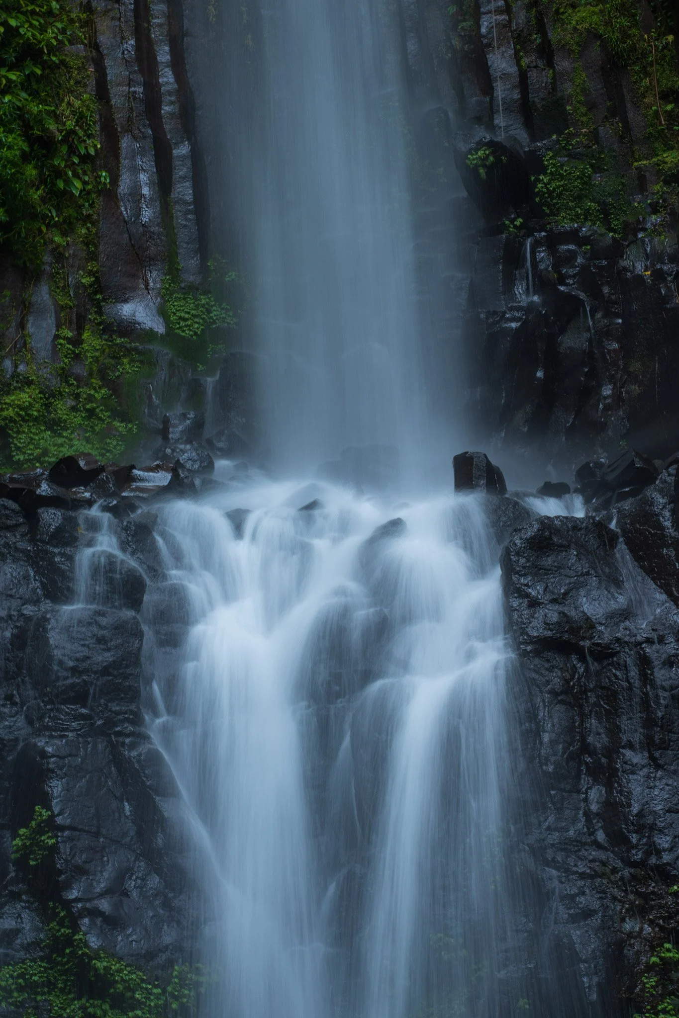 Soft Veil - Wooroonooran national park 2023