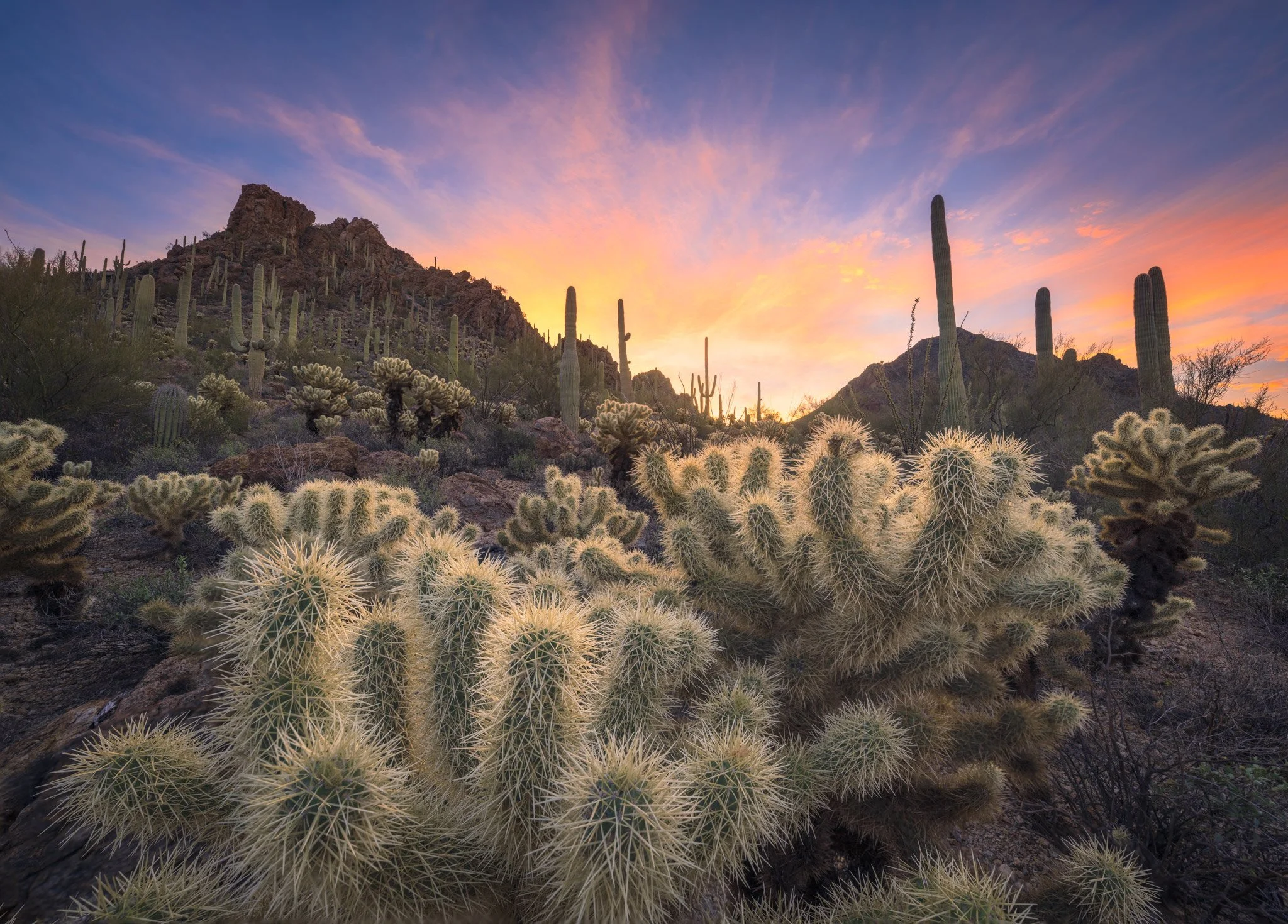 Jumpers - Arizona 2026