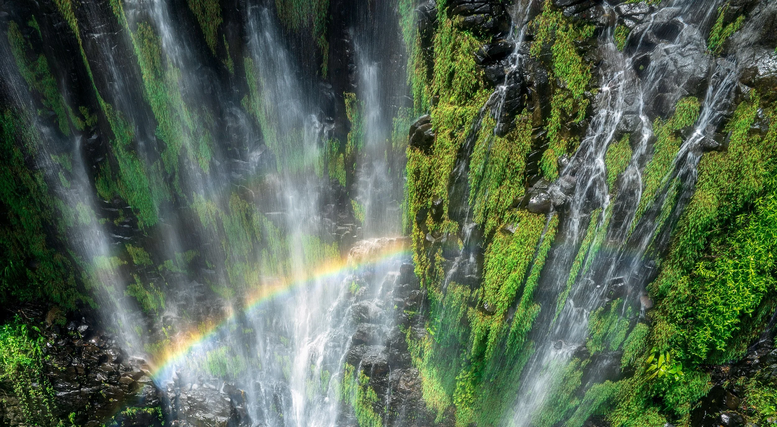 The Green Wall - Japoon National Park 2024