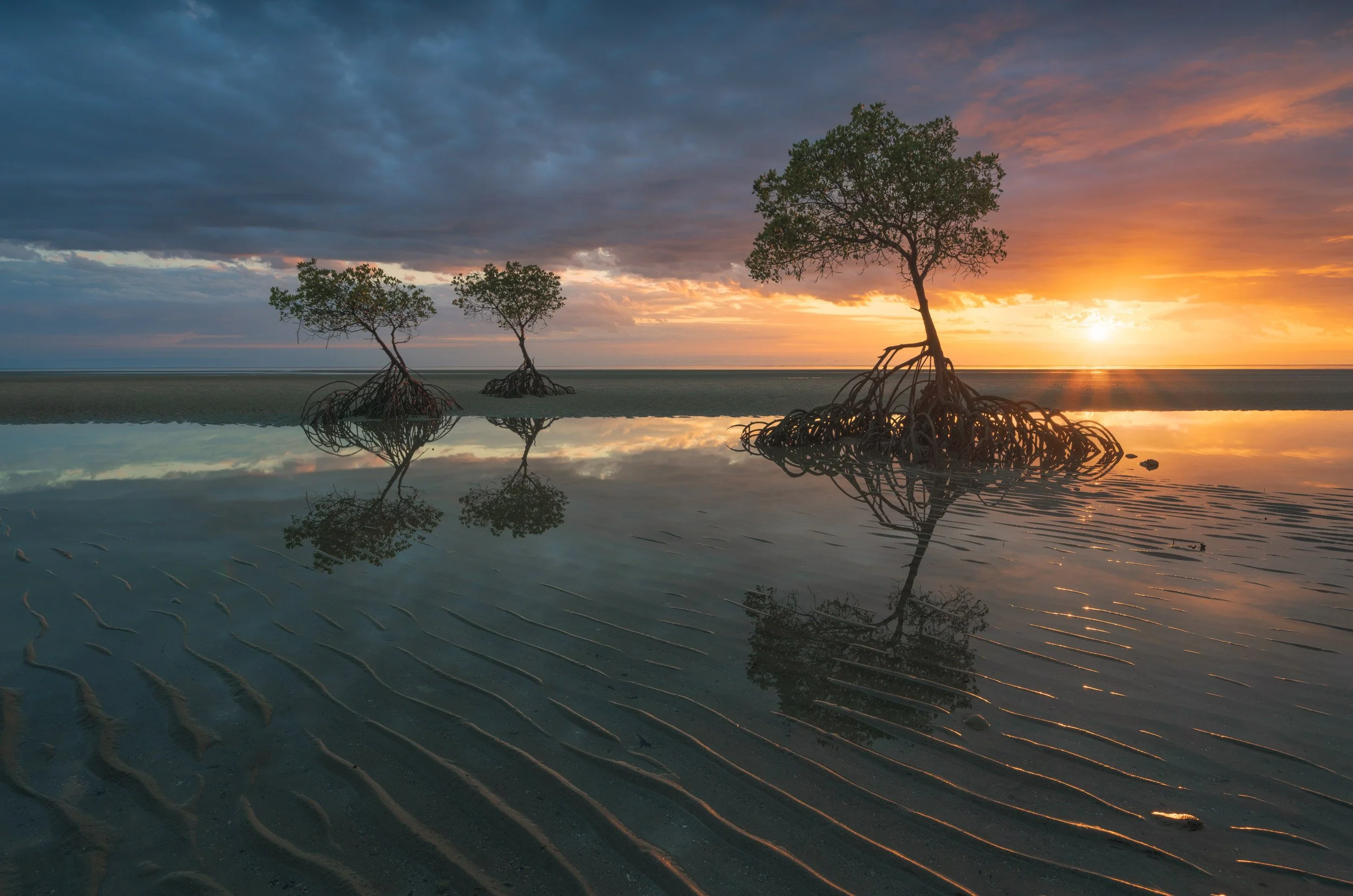Tidal Guardians - Mowbray National park 2024