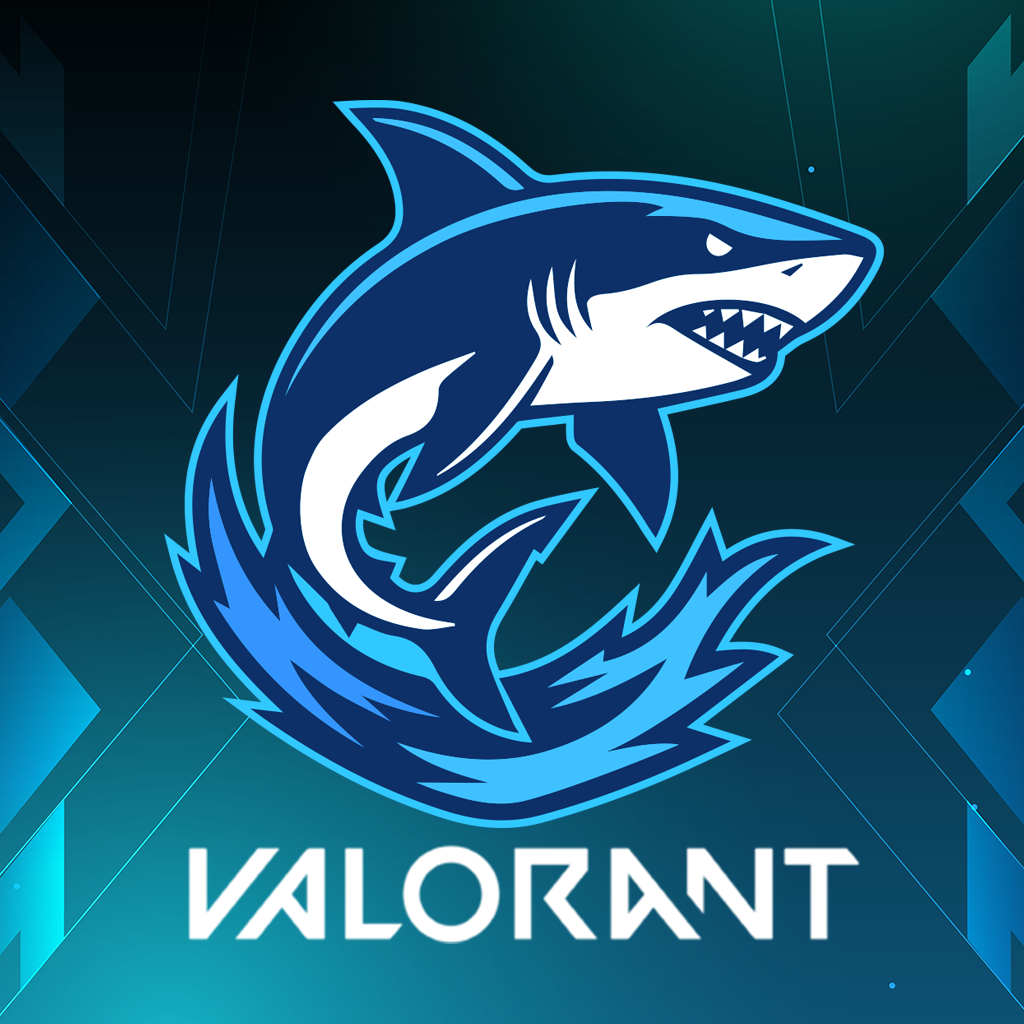 A stylized shark logo in shades of blue with the word "Valorant" written below it.