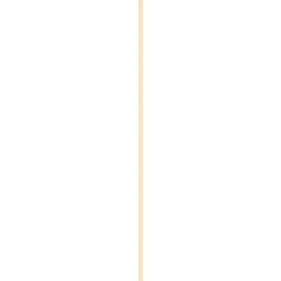 Close-up of a black speaker with a gold-colored vertical line in the center.