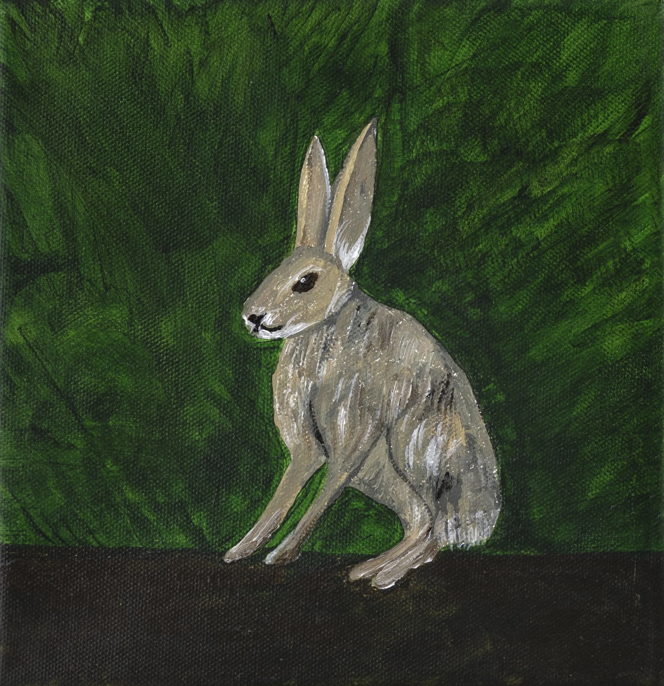 Jack Rabbit