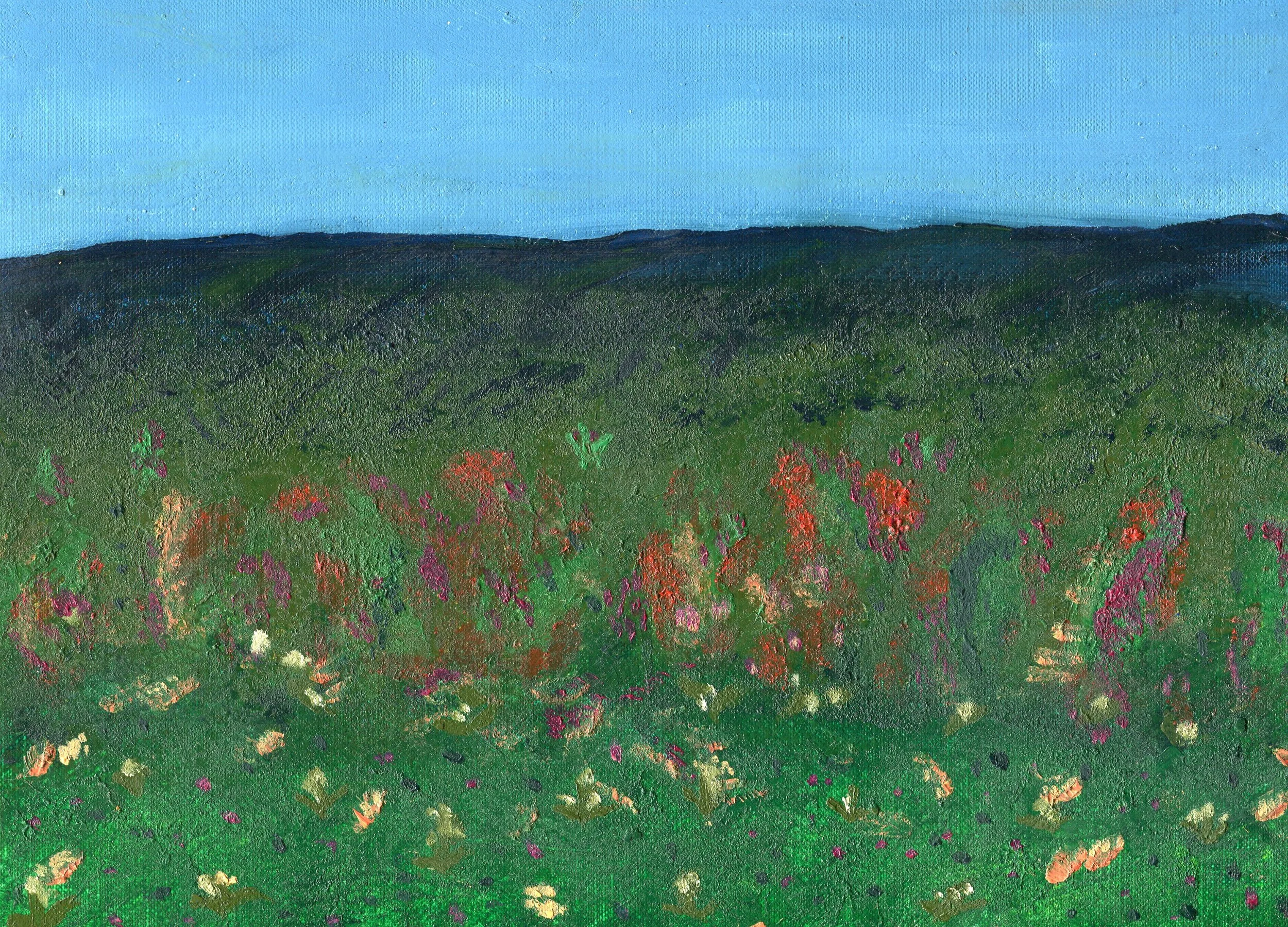 Spring Comes to the Mountainside