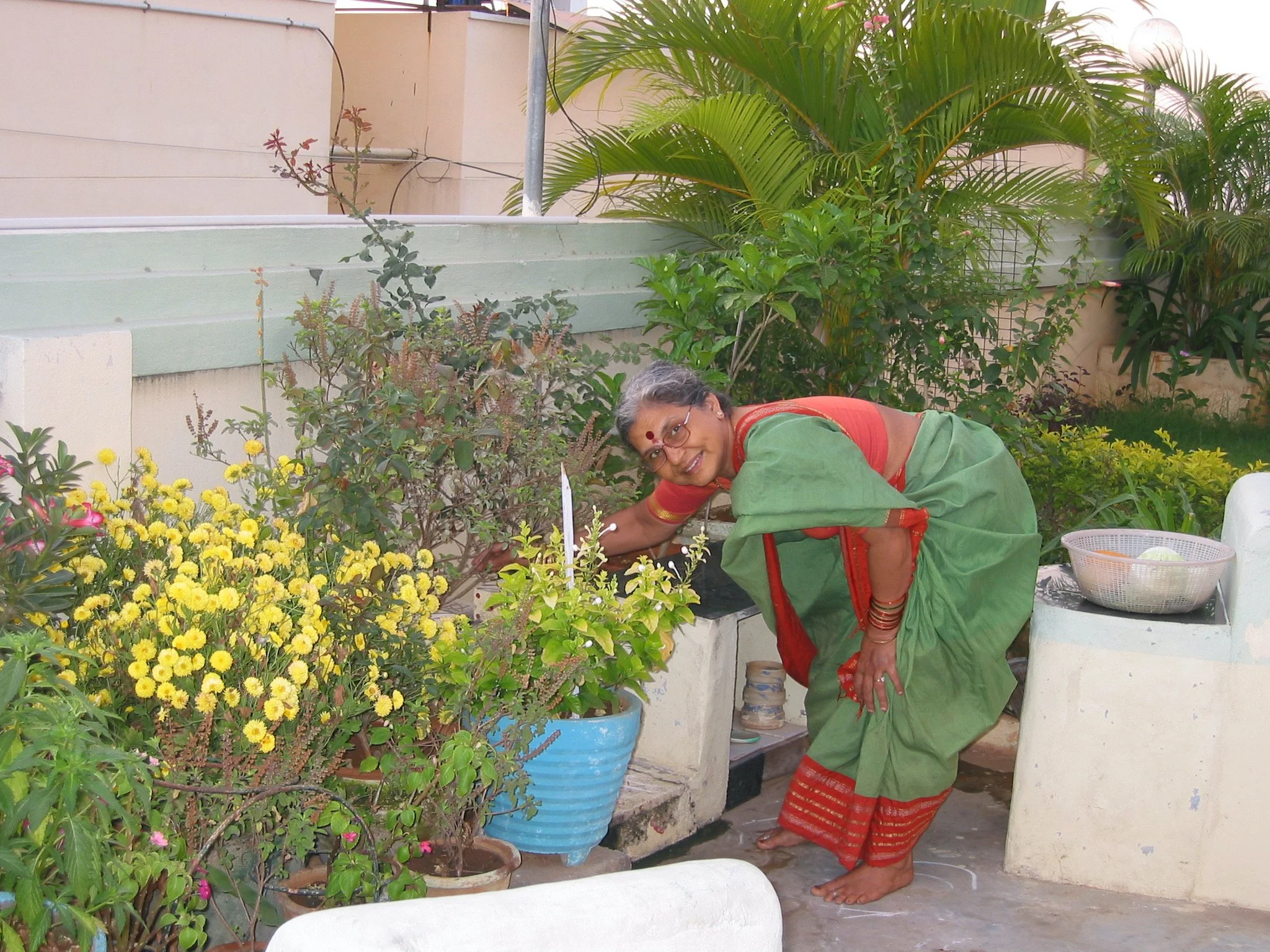 An elderly woman wearing a green saree with a red border is gardening on a small balcony. She is bending down among yellow and pink flowers in pots and holding gardening tools. The balcony has various green plants, including a tall palm and other leafy plants, with a beige wall and building visible in the background.