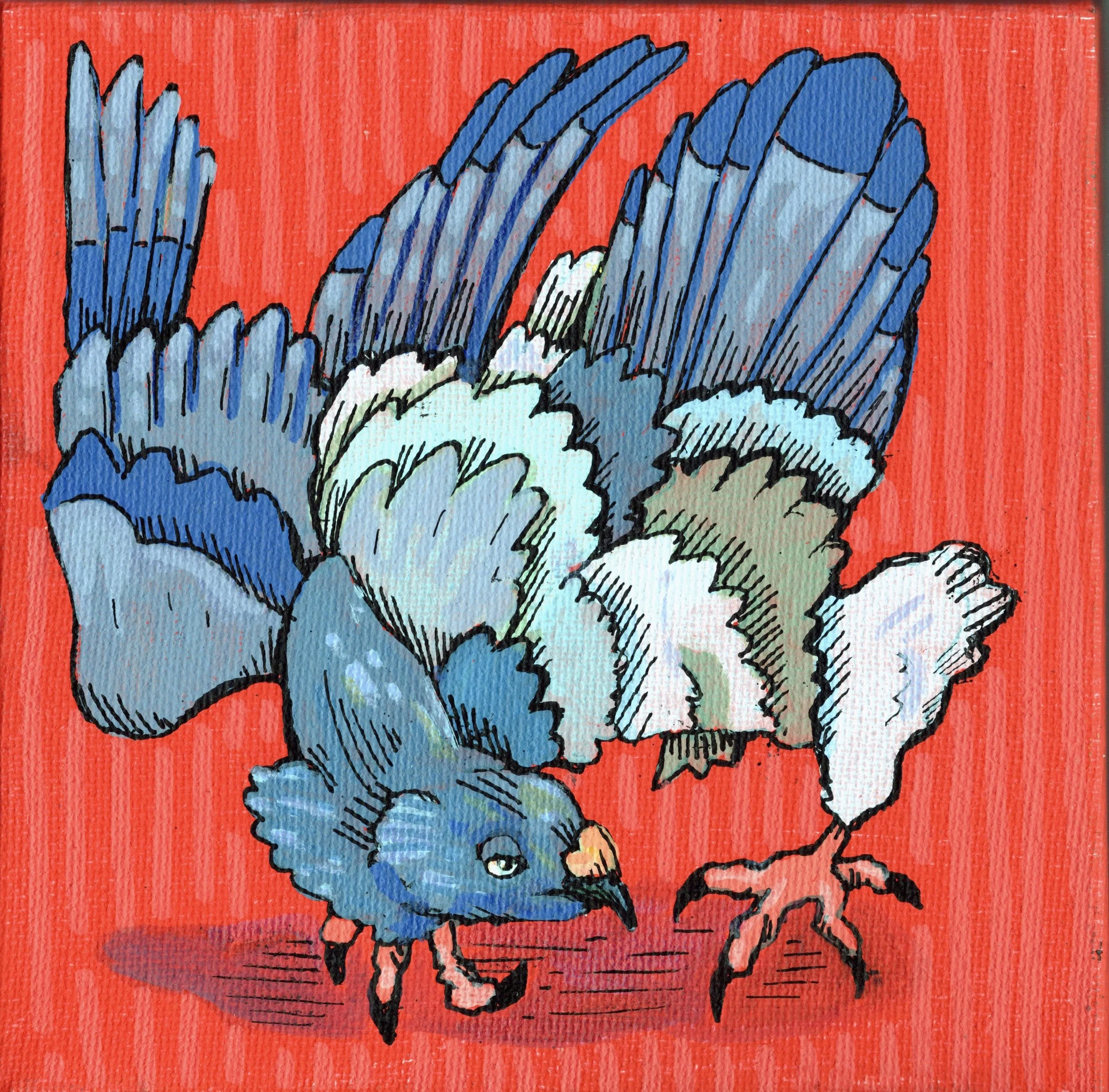 Pigeon