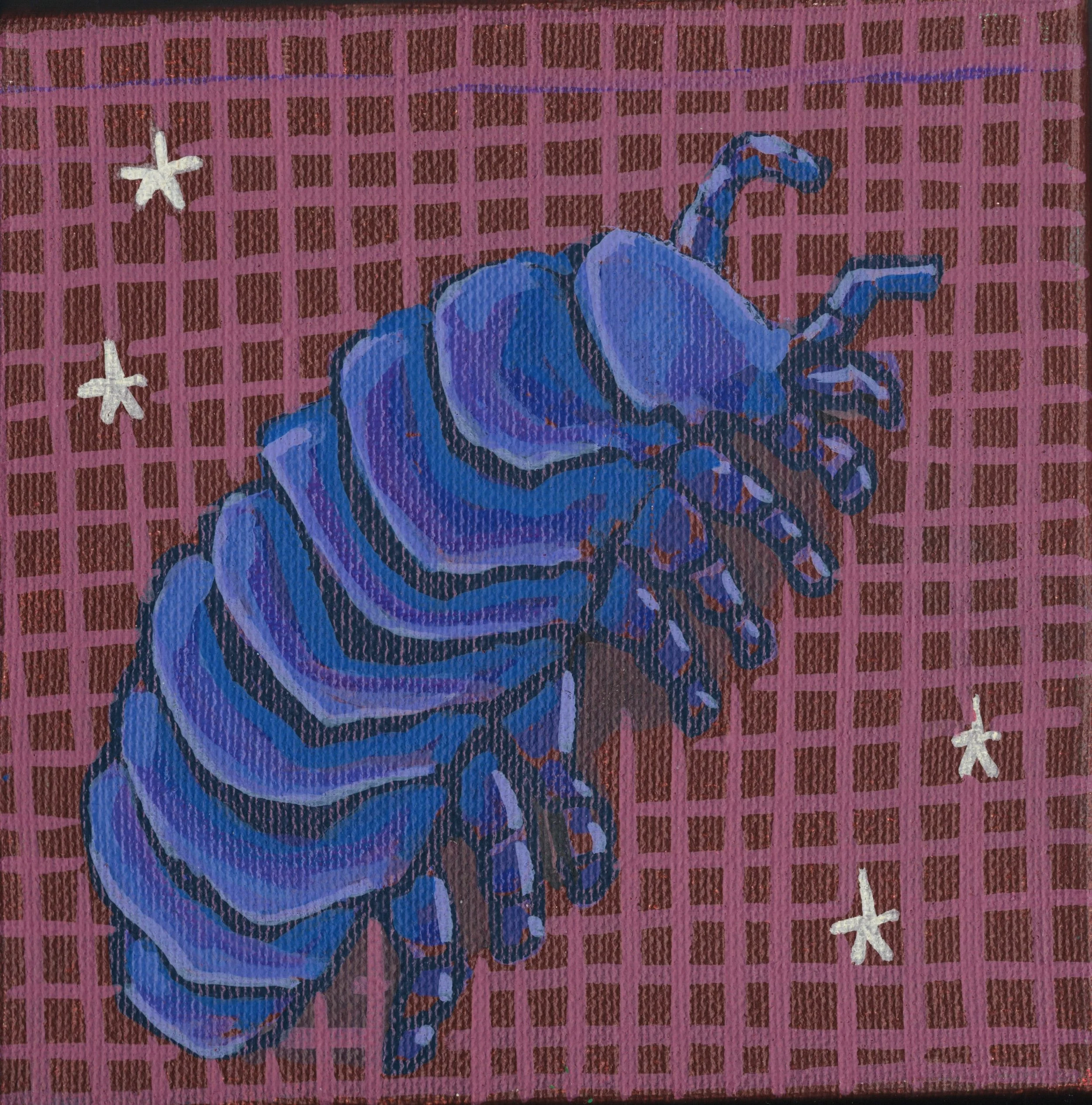 ISOPOD DARK_001.jpg