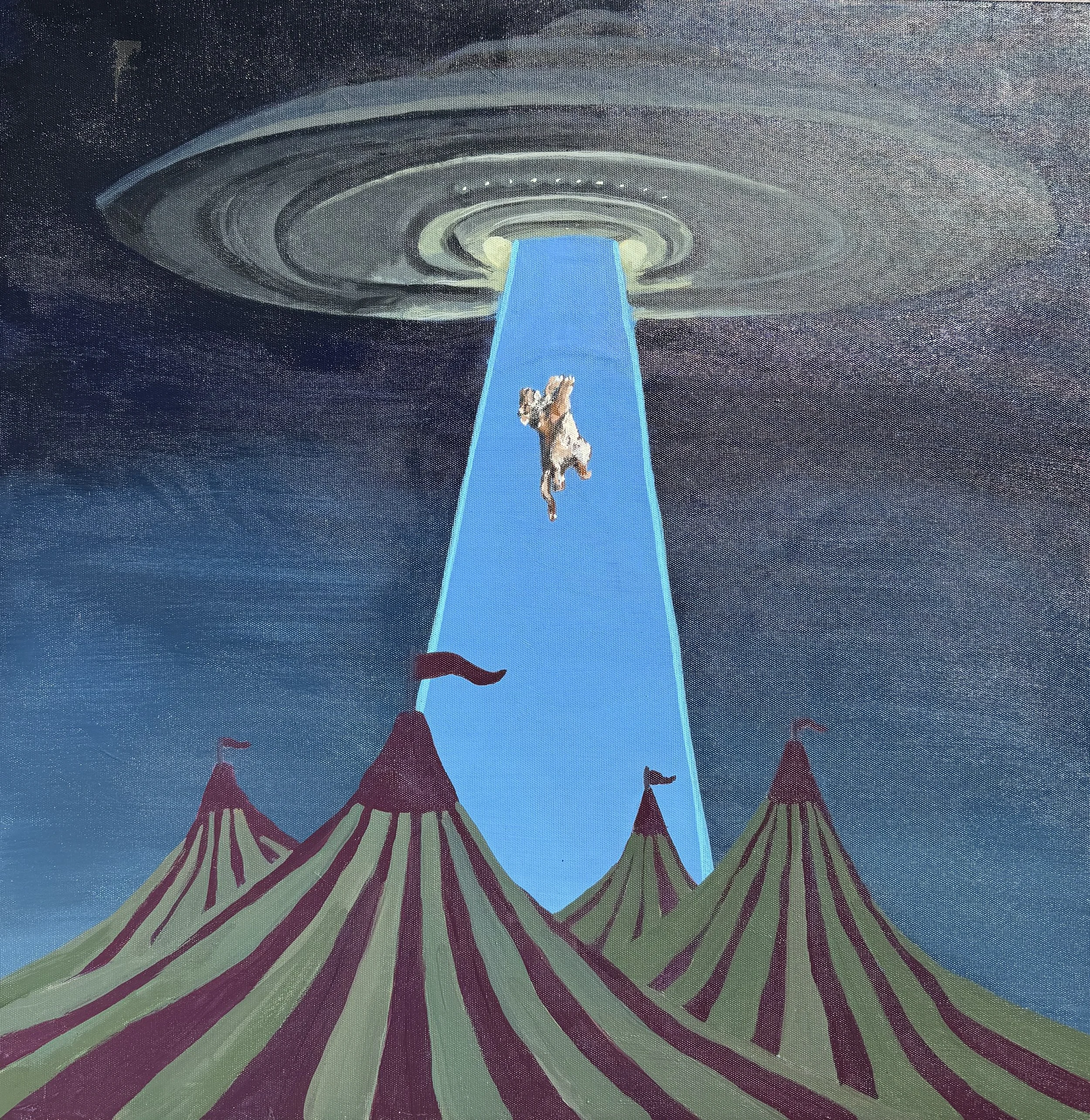 UFO Tiger, 24%22 x 24%22, Acrylic on canvas, 2025, $350.jpg