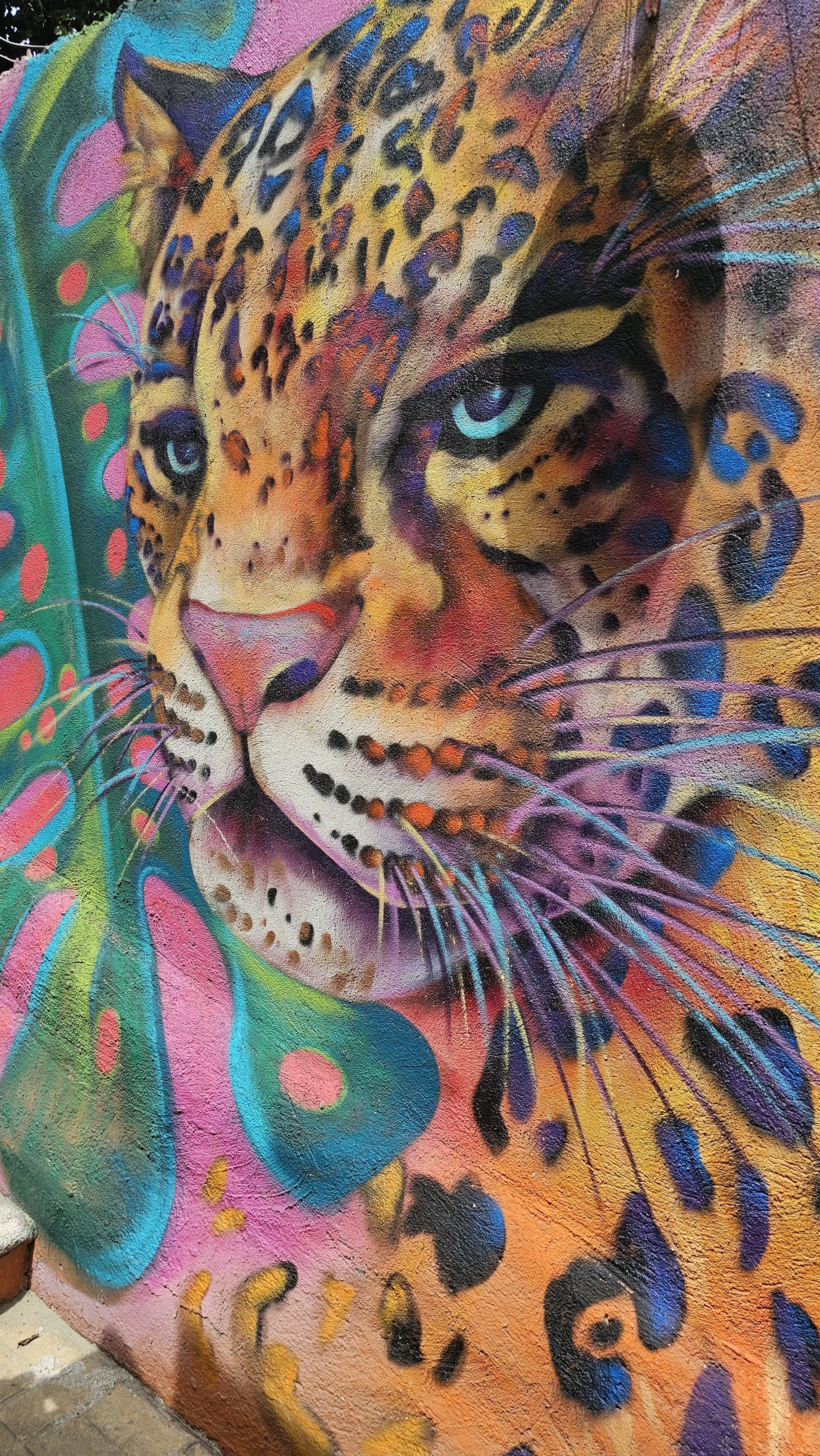 Colorful mural of a jaguar's face with expressive blue eyes, painted on a textured wall with vibrant abstract patterns and splashes of pink, orange, blue, green, and purple.