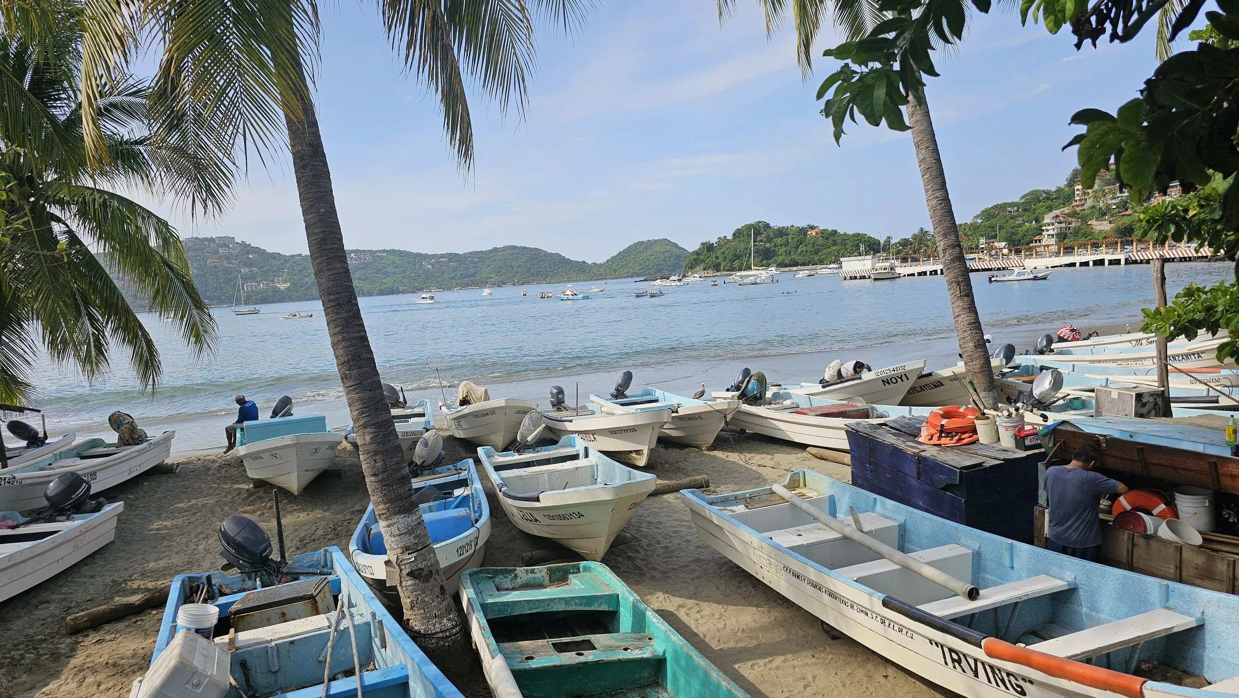 A tropical beach with palm trees and boats docked on the sand, overlooking calm water and green hills in the distance.