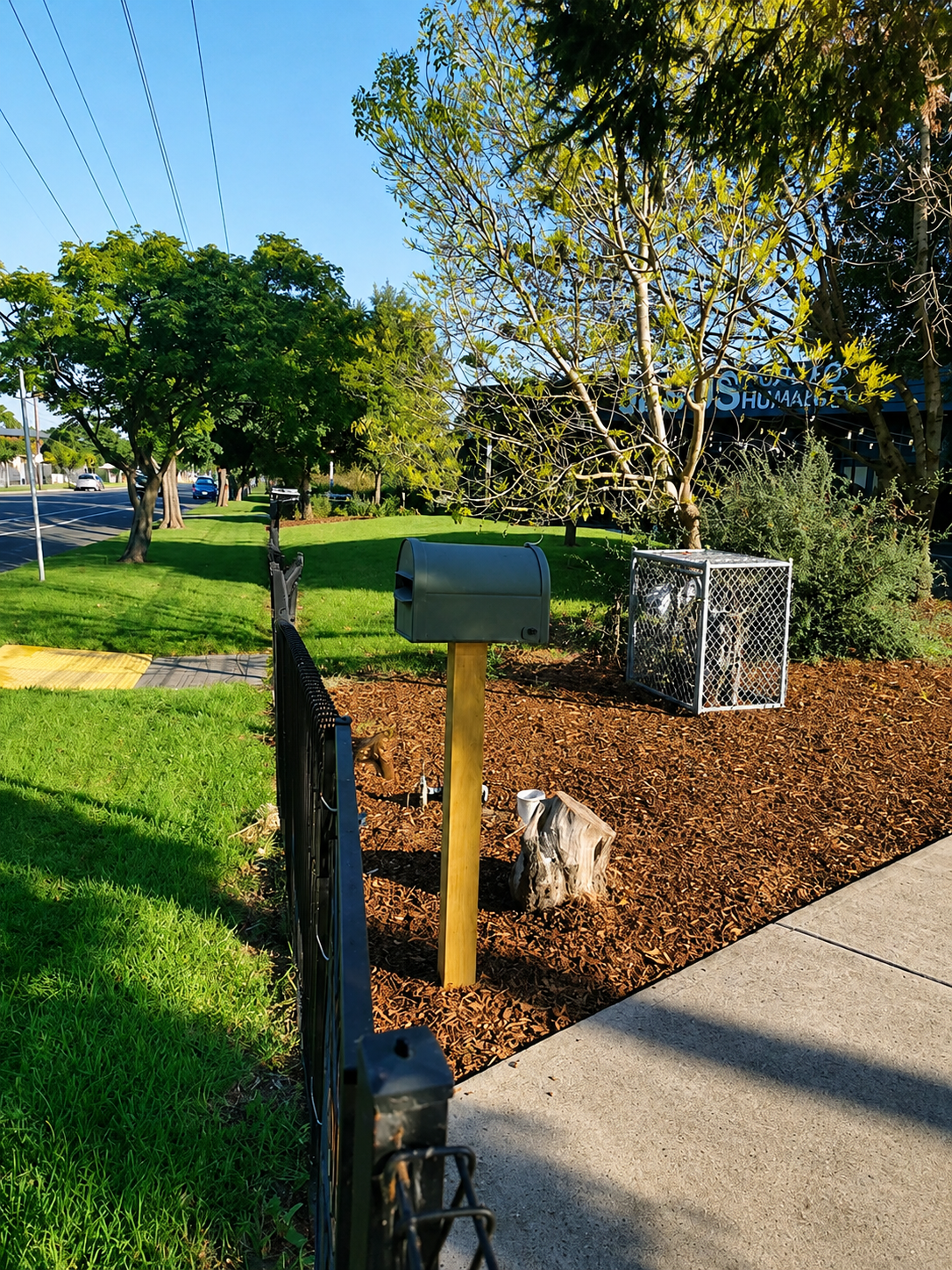A green mailbox on a wooden post next to a black metal gate on a sidewalk. A tree with some leaves and a metal cage-like structure is behind the mailbox, with a small bush to the right. A tree stump and white mug are on the mulched area, with a grassy lawn and trees along a street in the background. A sign with the words 'SHUMAN' is partially visible behind the trees.