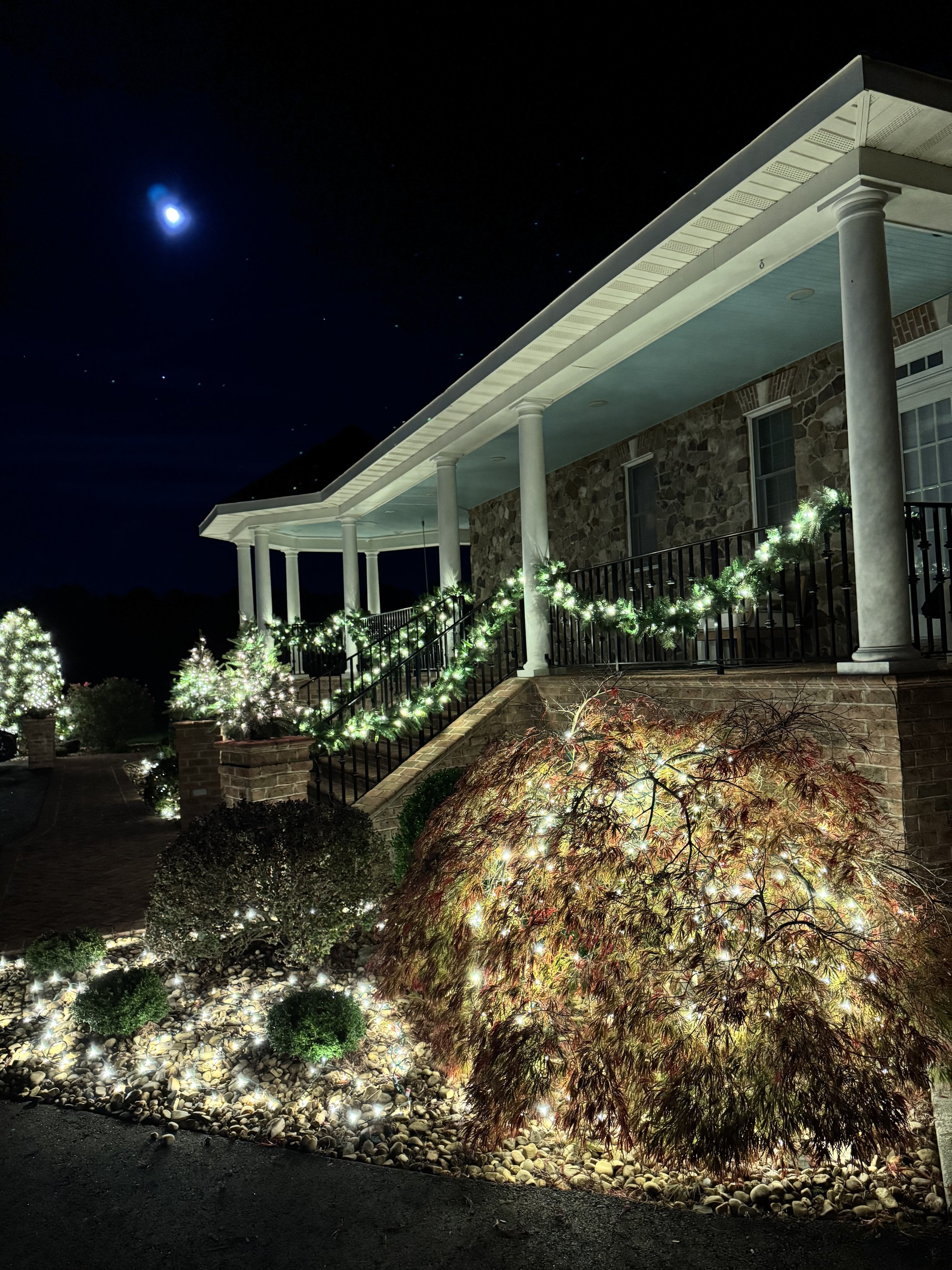 Residential Home Lighting & Greenery