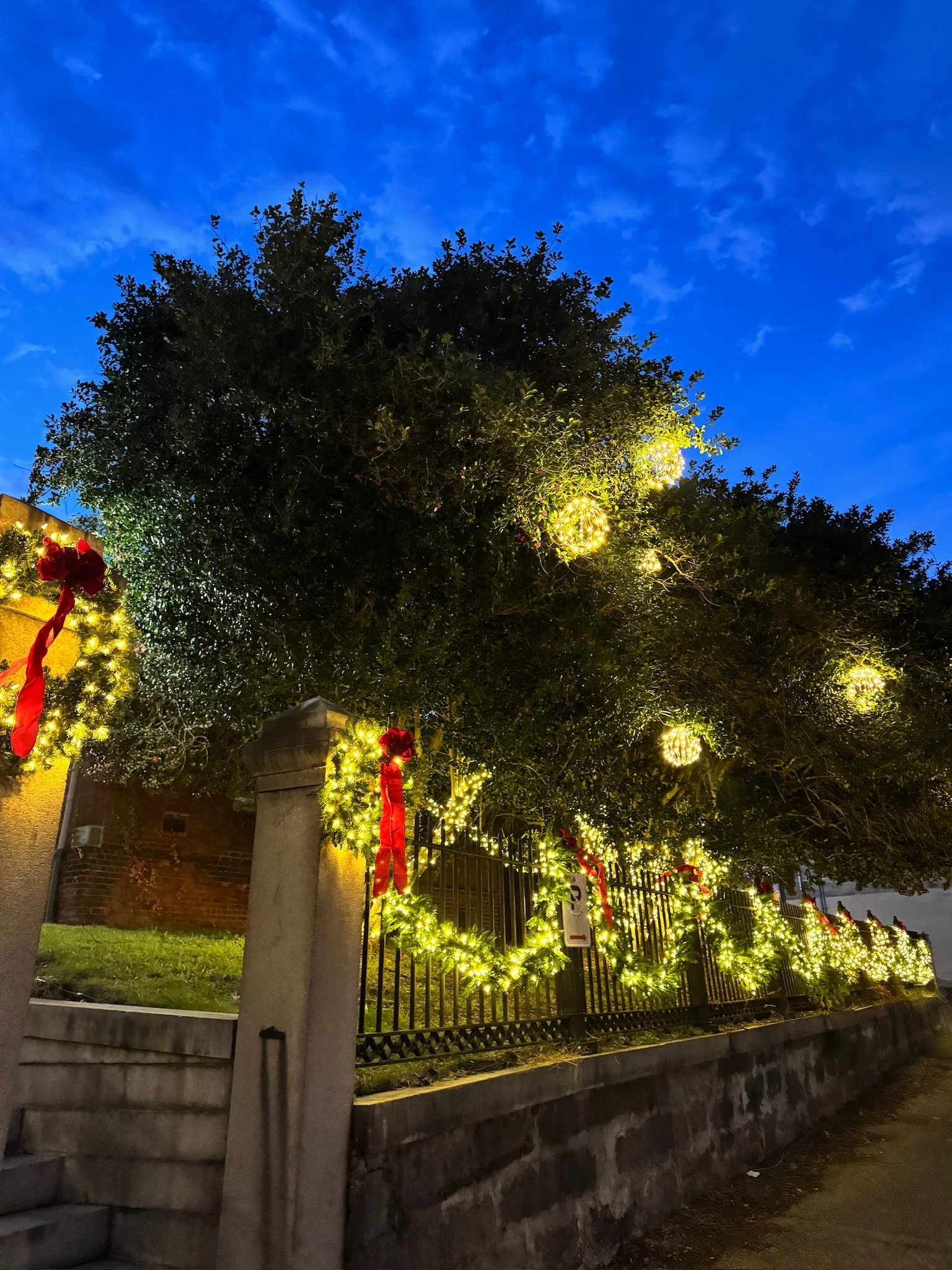 Exterior Lighting | Christmas | Municipality 