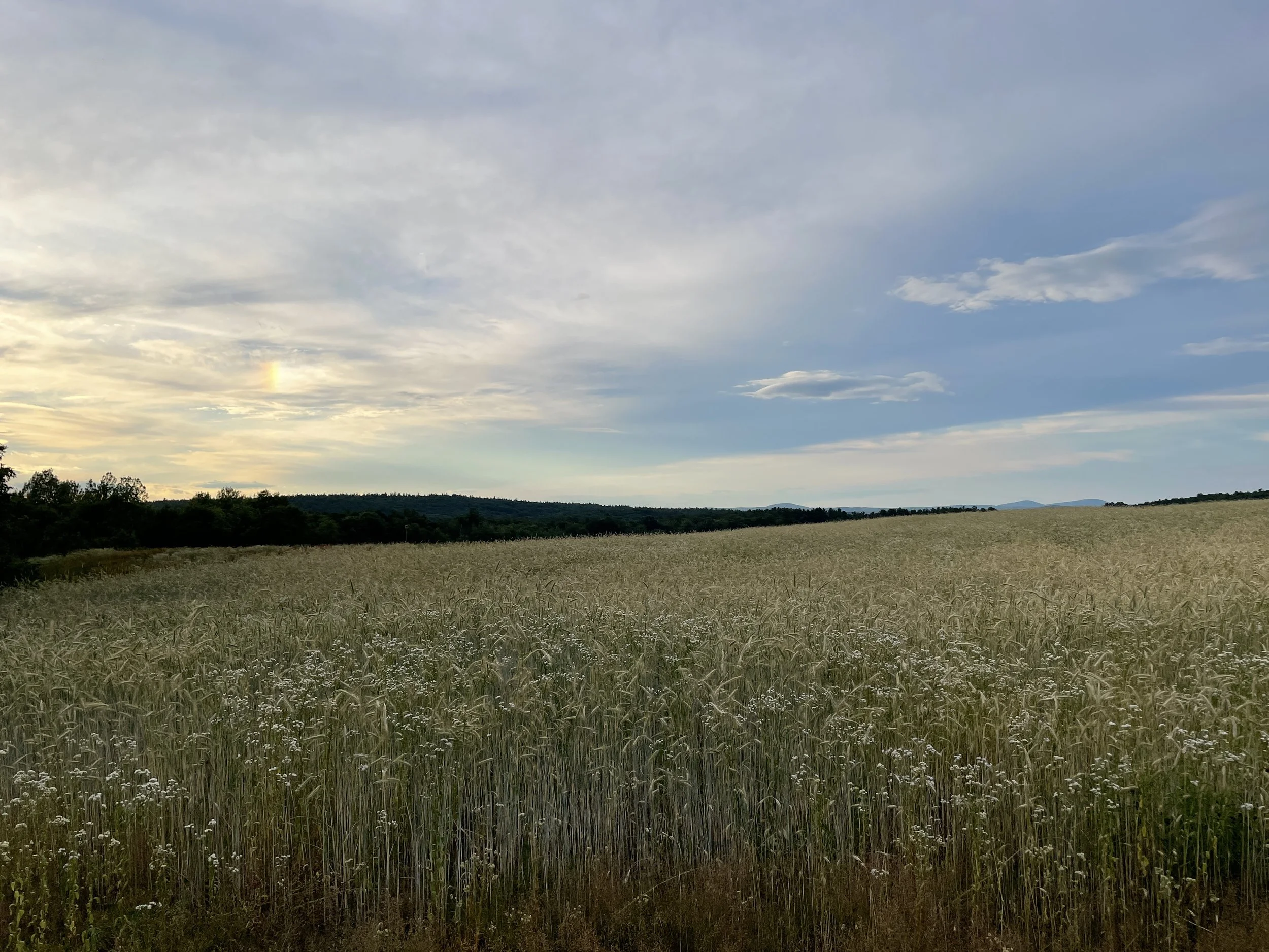 IMG_5437.jpeg