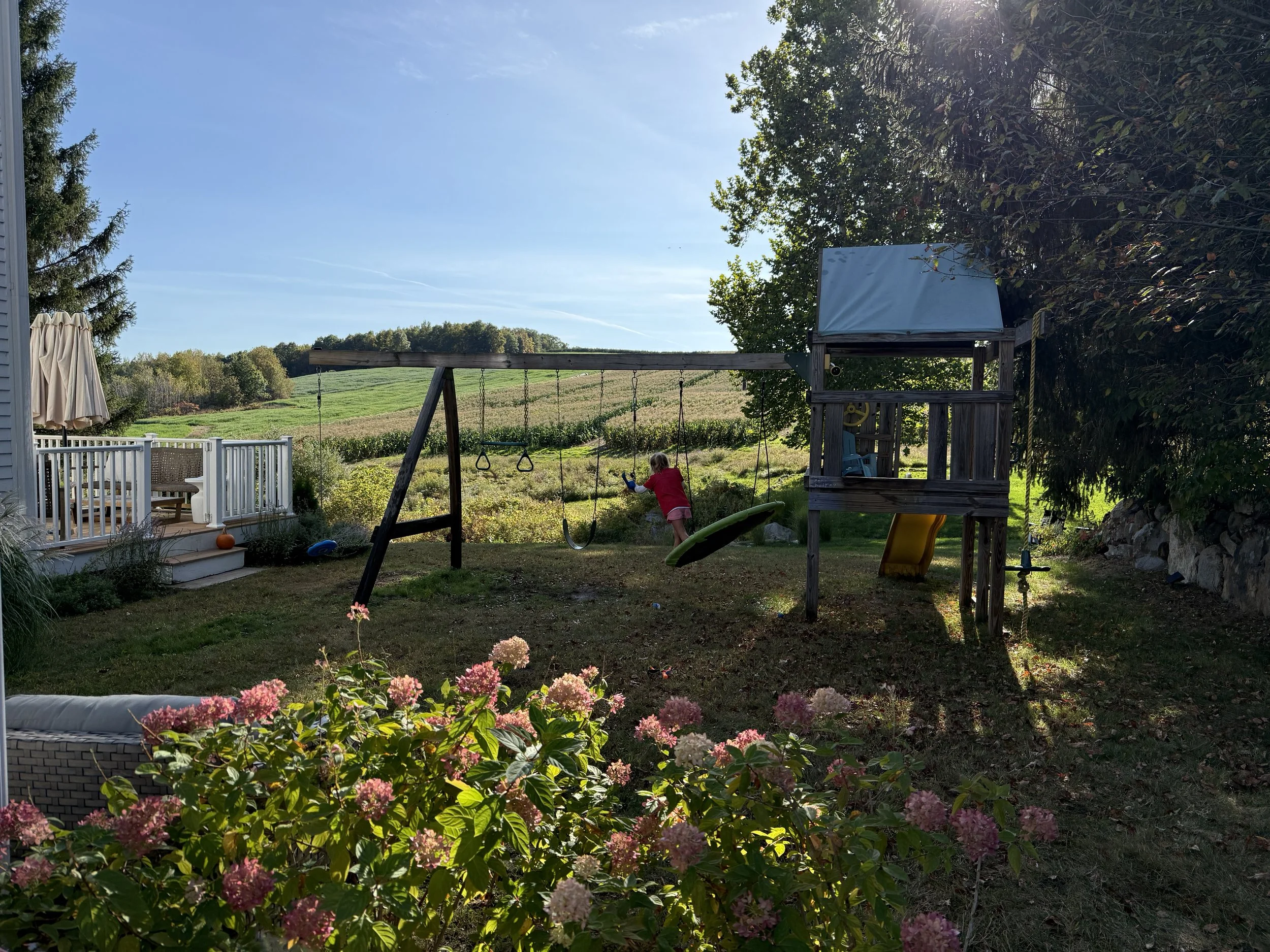 Backyard 2.jpeg