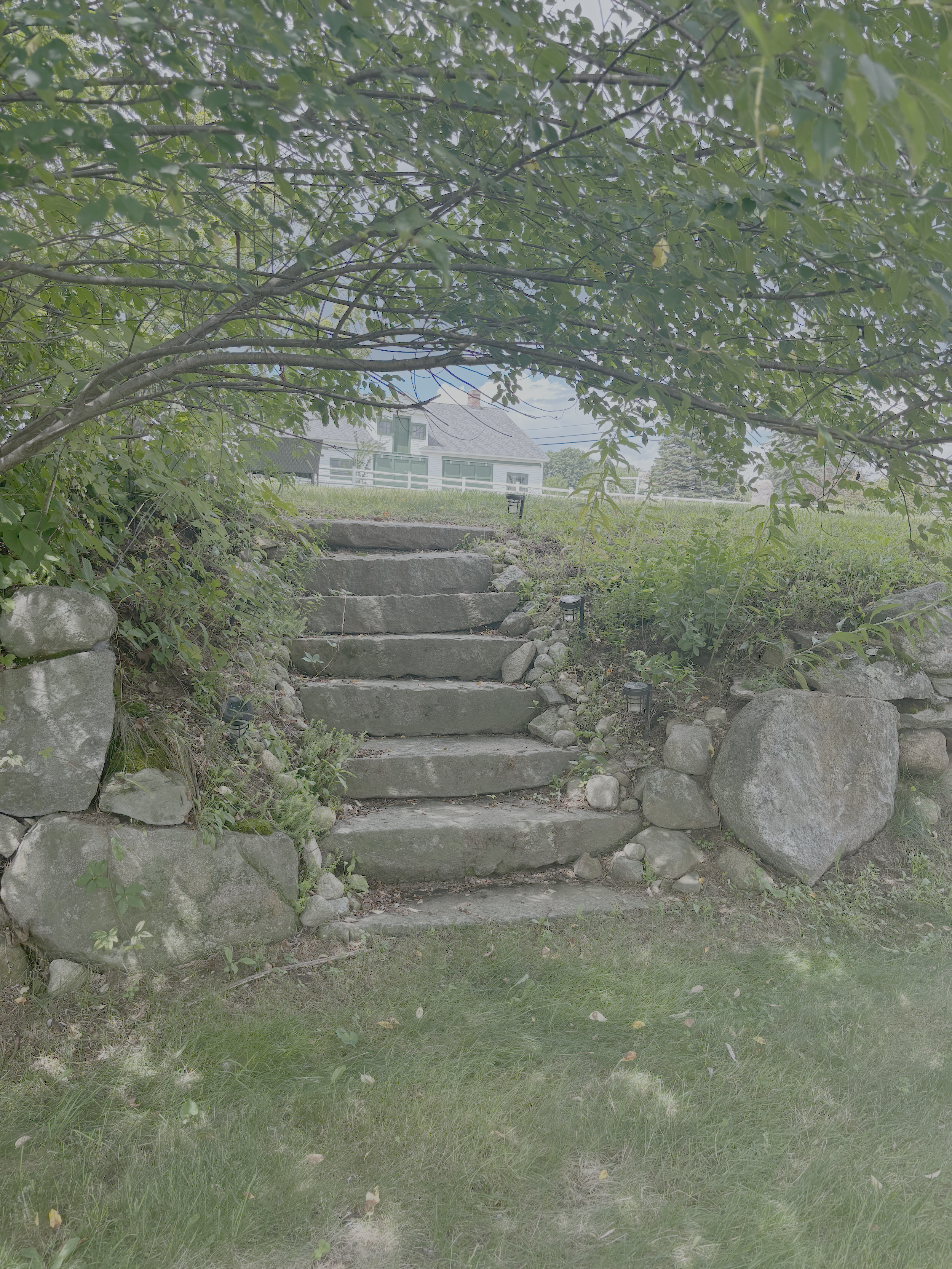 Upper yard steps.png