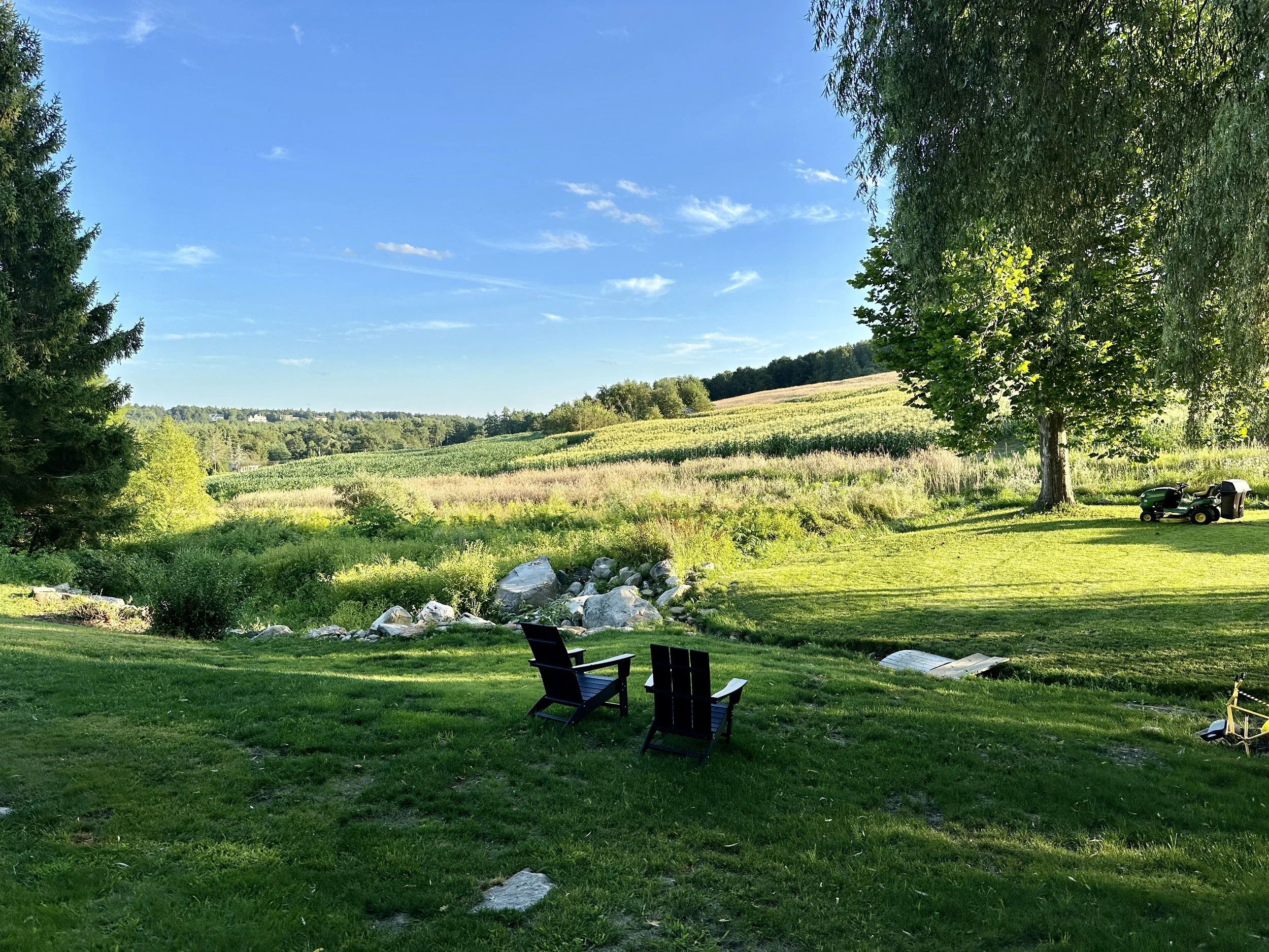 Backyard 1.JPG