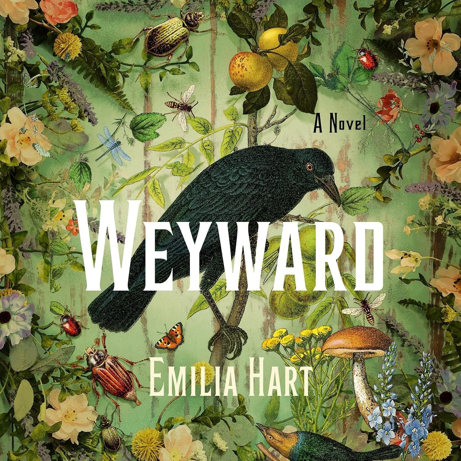 Finished Weyward by Amelia Hart