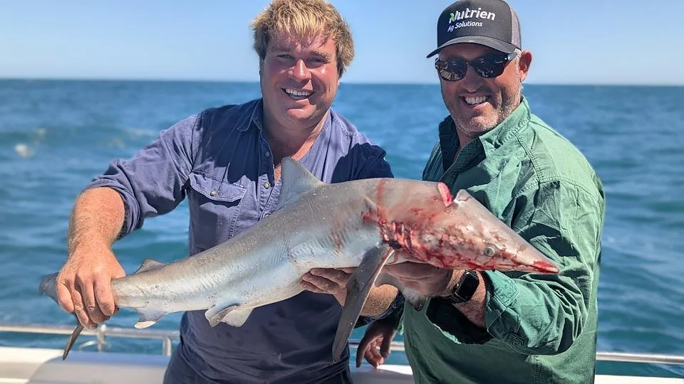 Two men on a boat holding a large shark caught while fishing, with the ocean in the background.