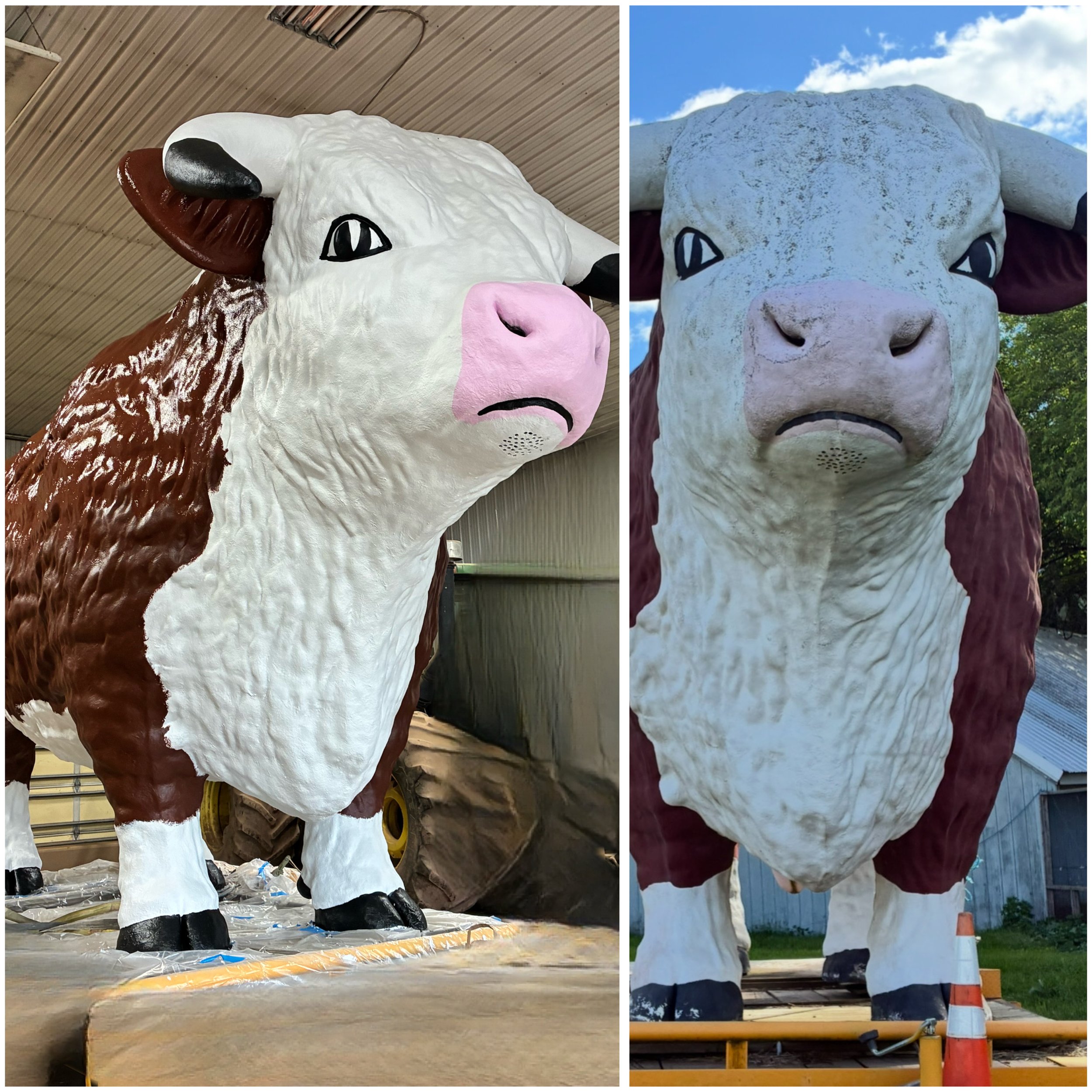 Two large mascot costumes of a cow character, one in an indoor storage space and the other outdoors near a construction site, displayed from the front showing the face, body, and legs.