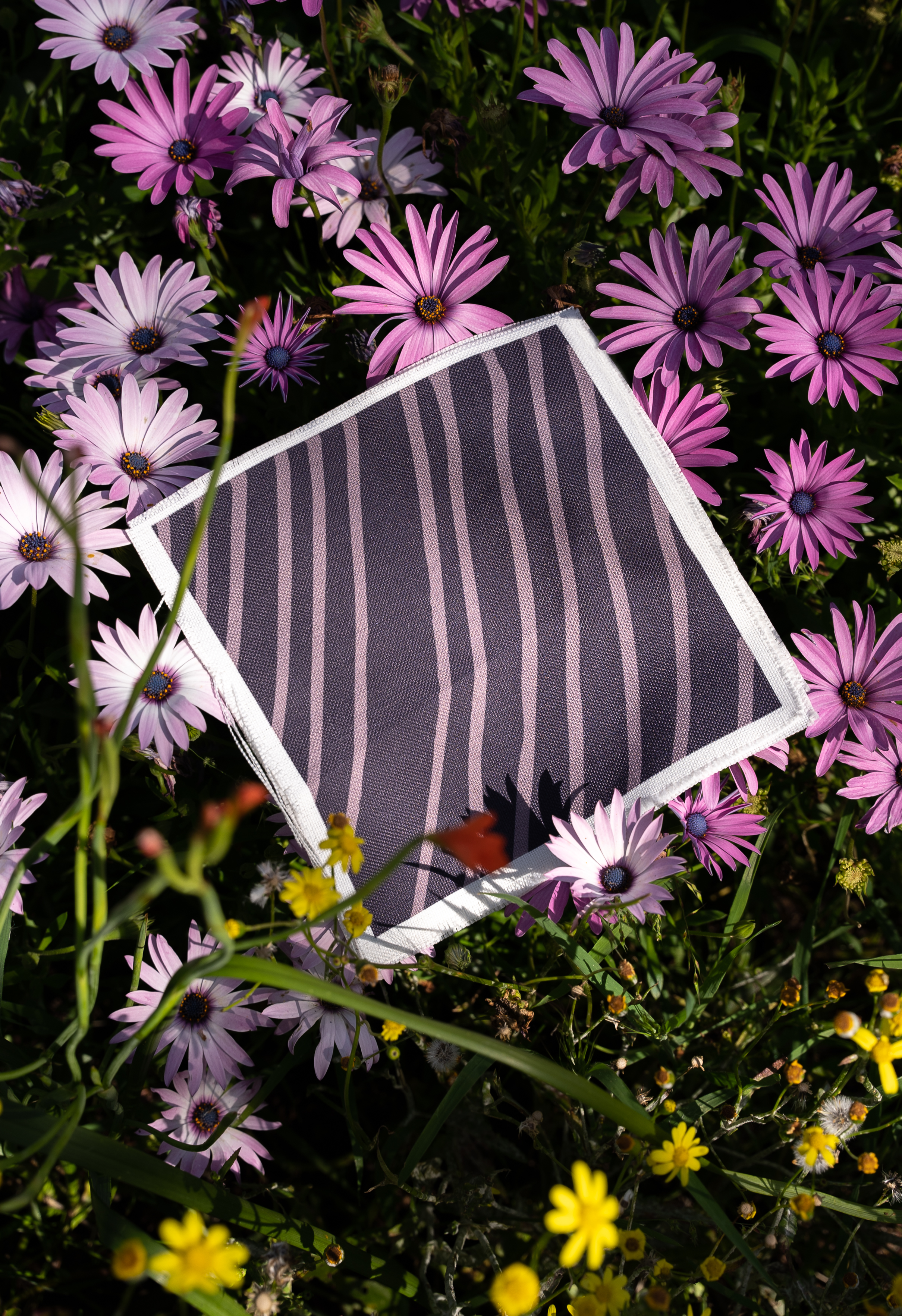 DSC02145.png