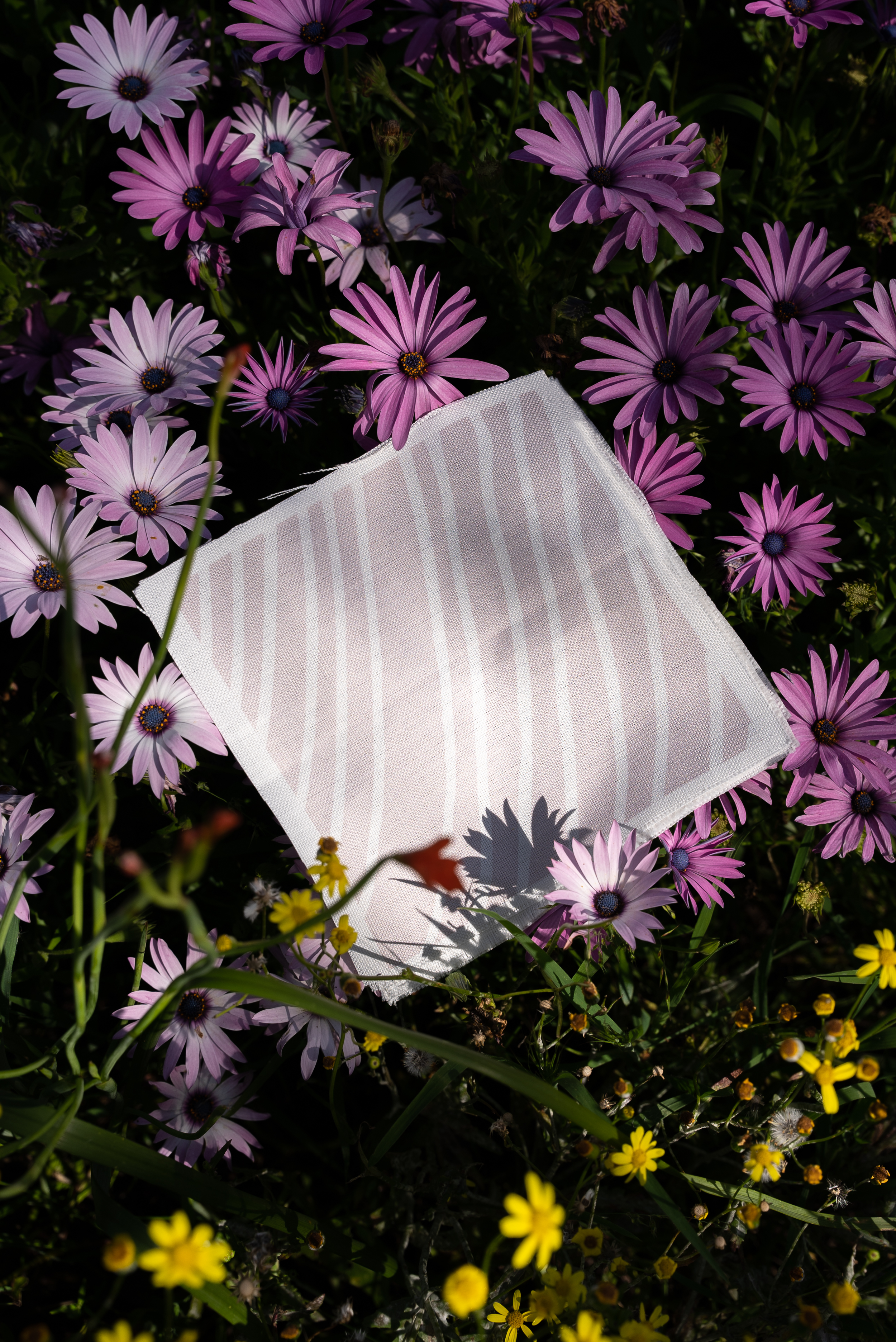 DSC02146.png