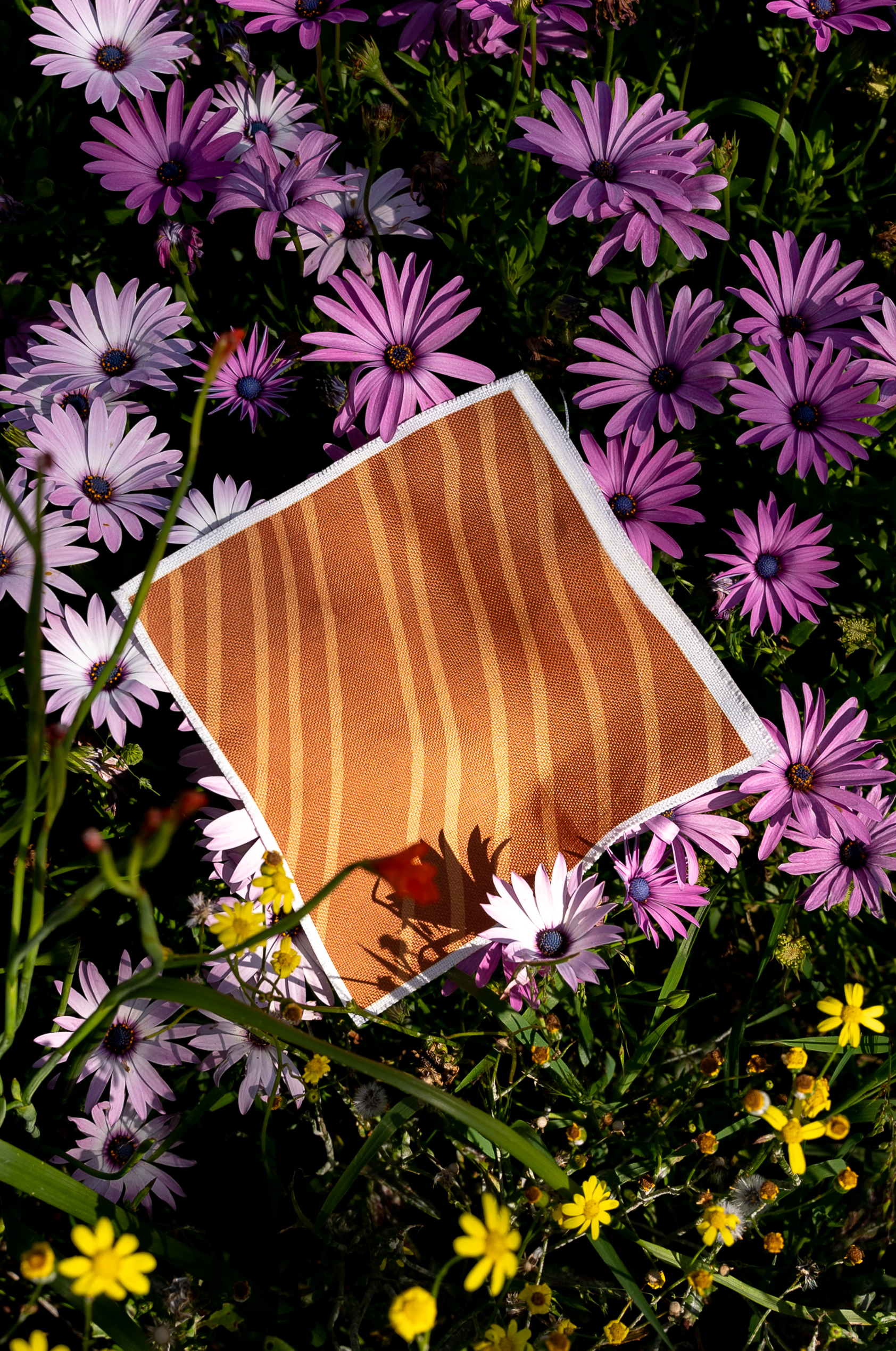 DSC02155.png