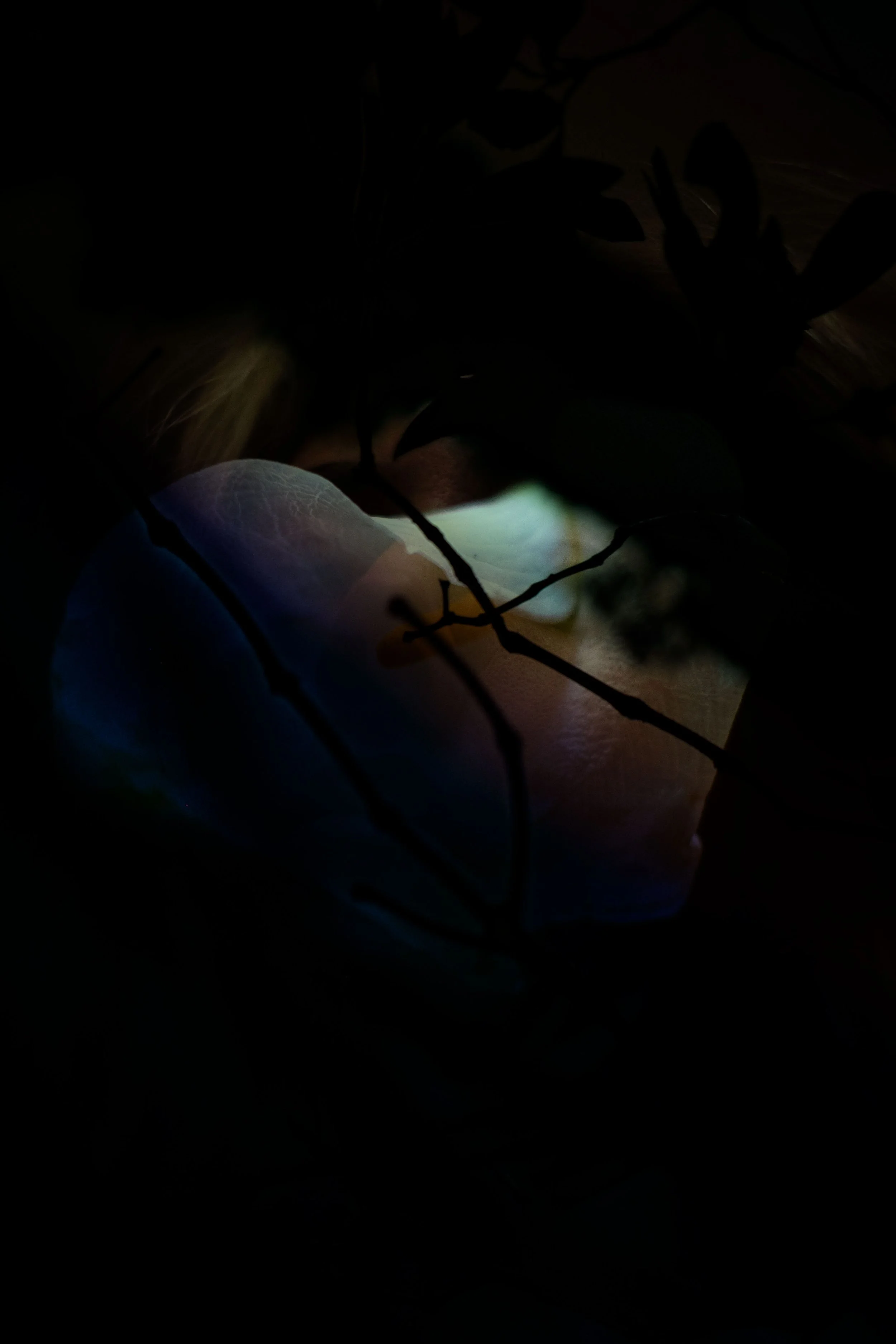 Belongil-3.jpg