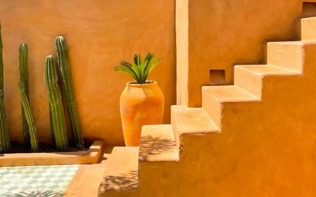 Sunlit outdoor scene with a yellow stucco wall, a staircase, a large terracotta pot with a green plant, and a planter with tall cacti.