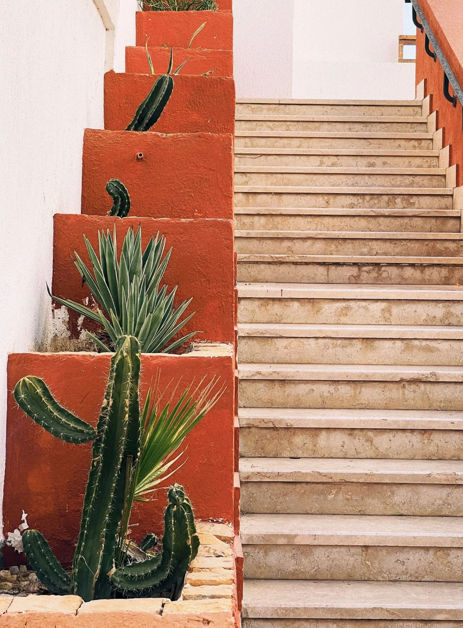 A planter box with various cacti and succulents on orange-painted stairs next to a marble staircase.