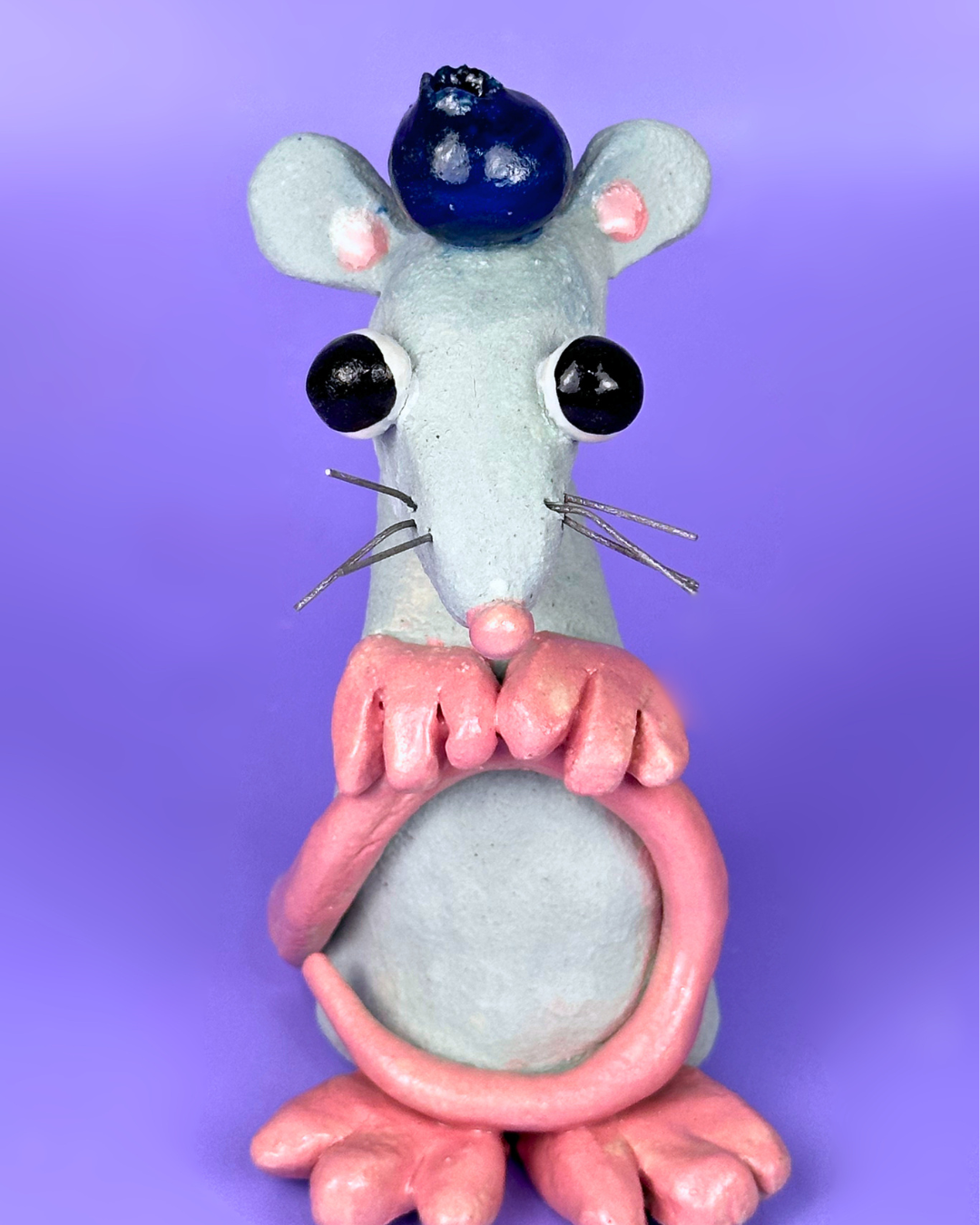 Grey Blueberry Rat