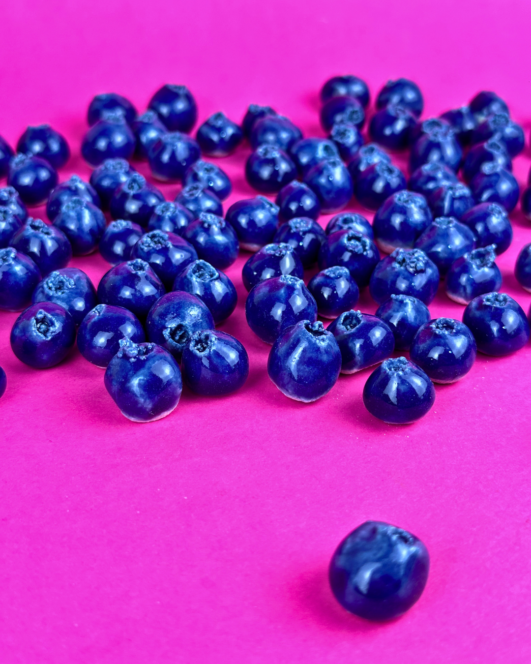 Blueberry Magnet