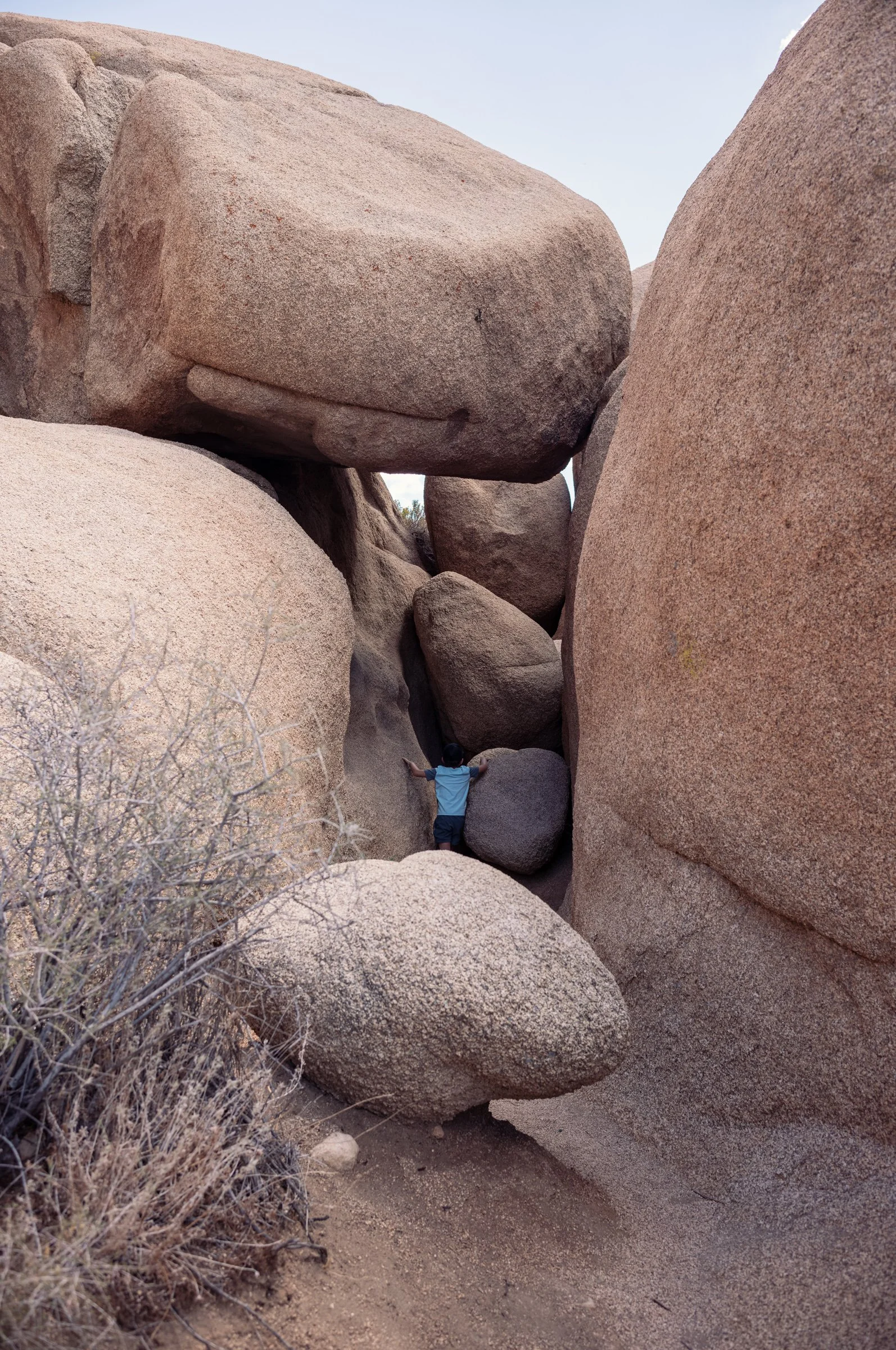 L1002892.jpg