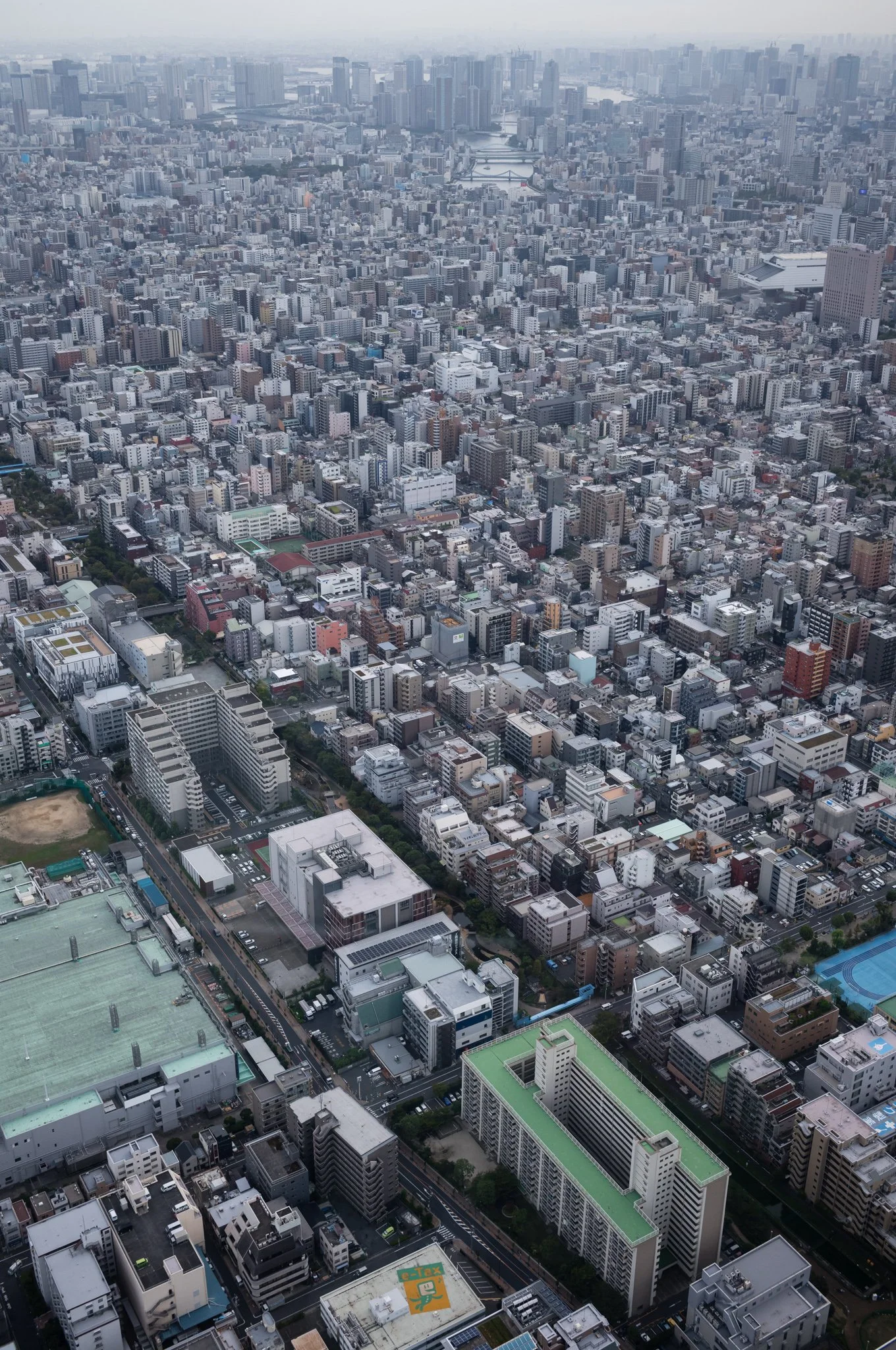 L1006028.jpg