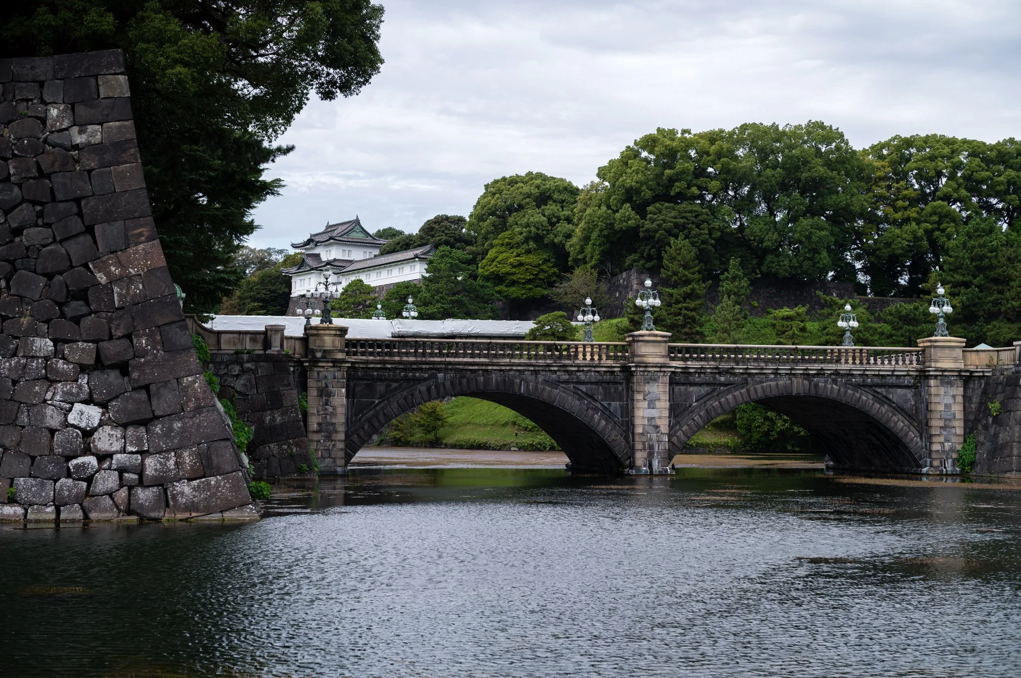 L1005624.jpg
