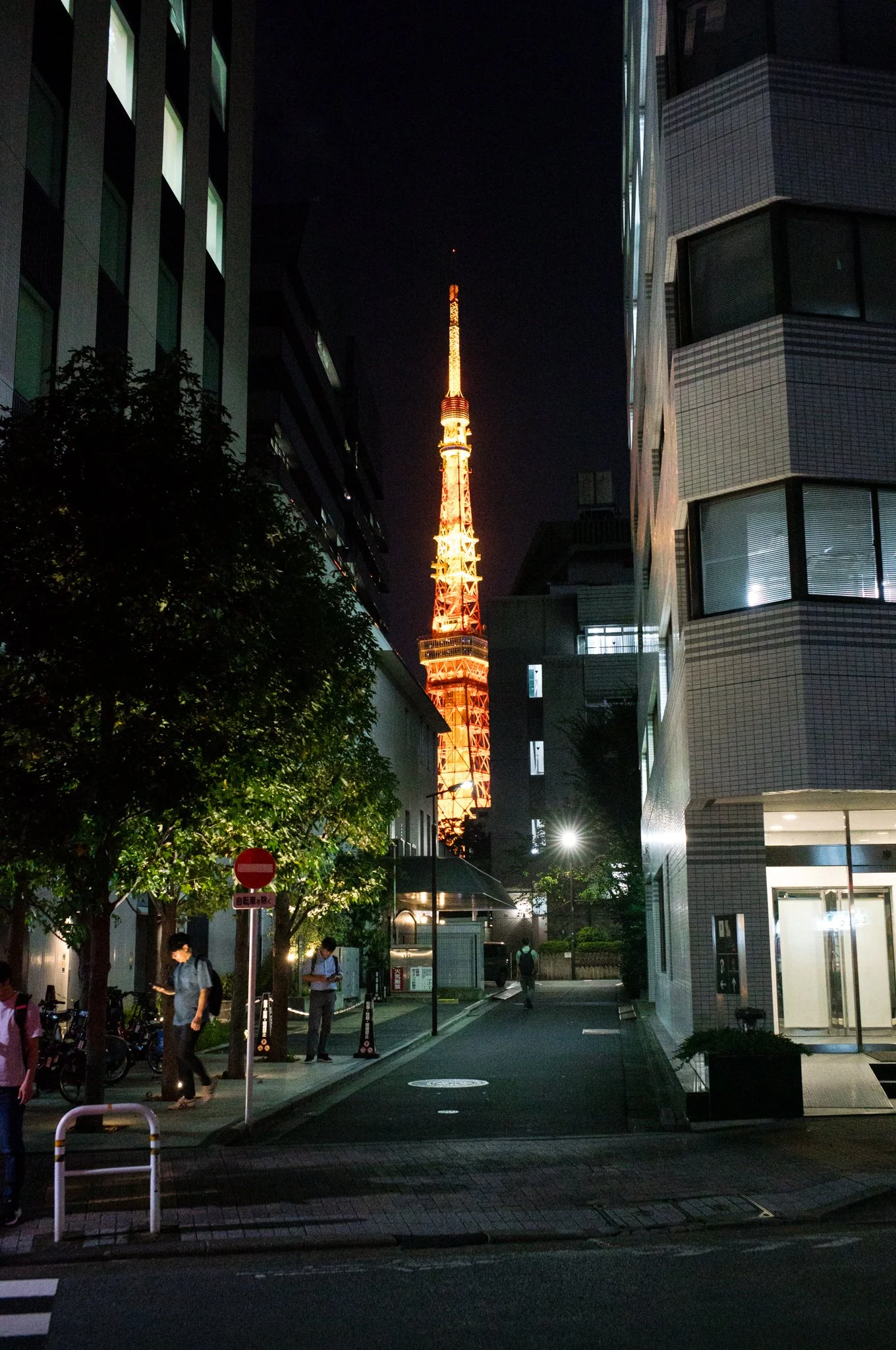 L1006068.jpg