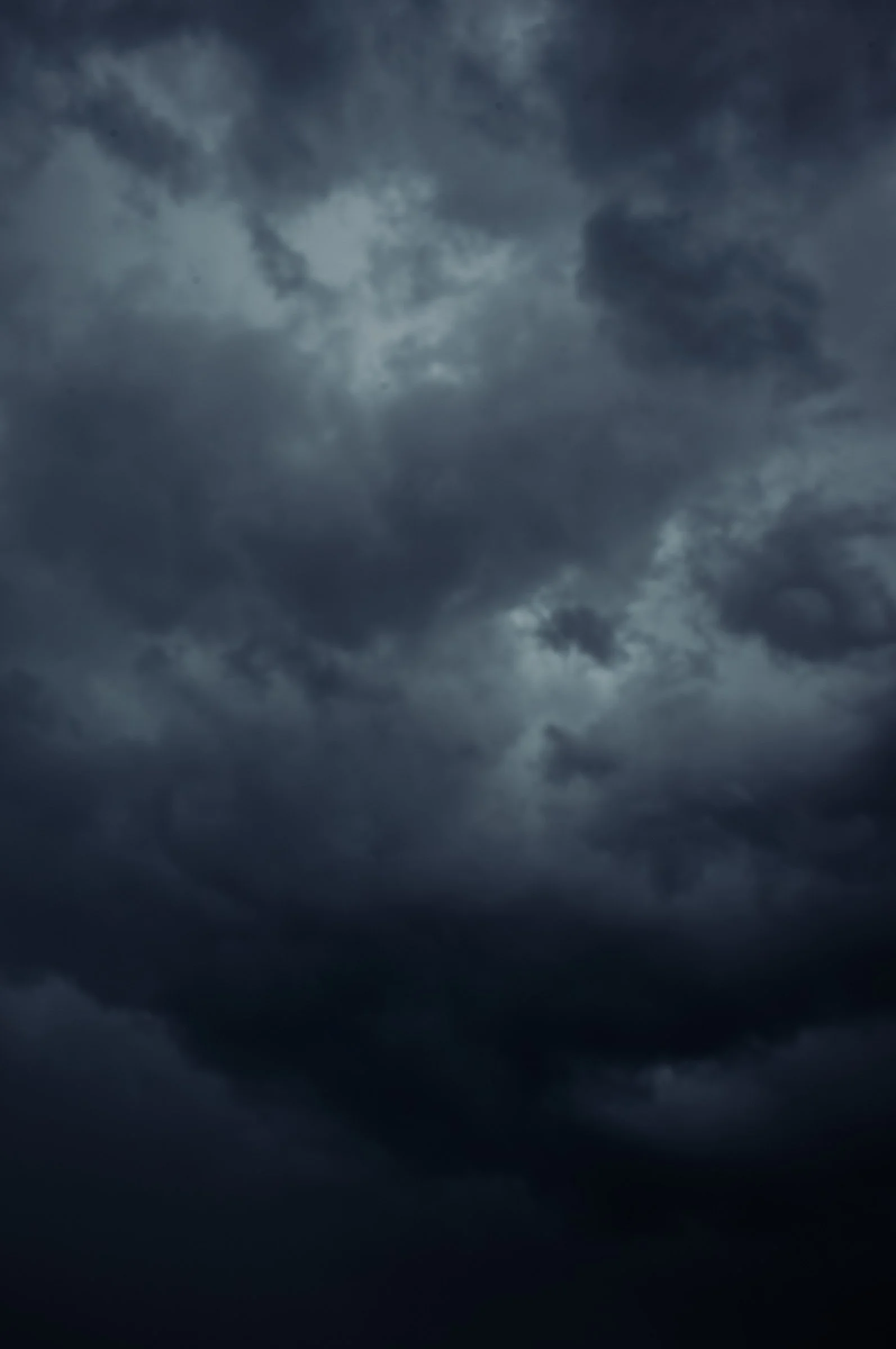 L1002010.jpg