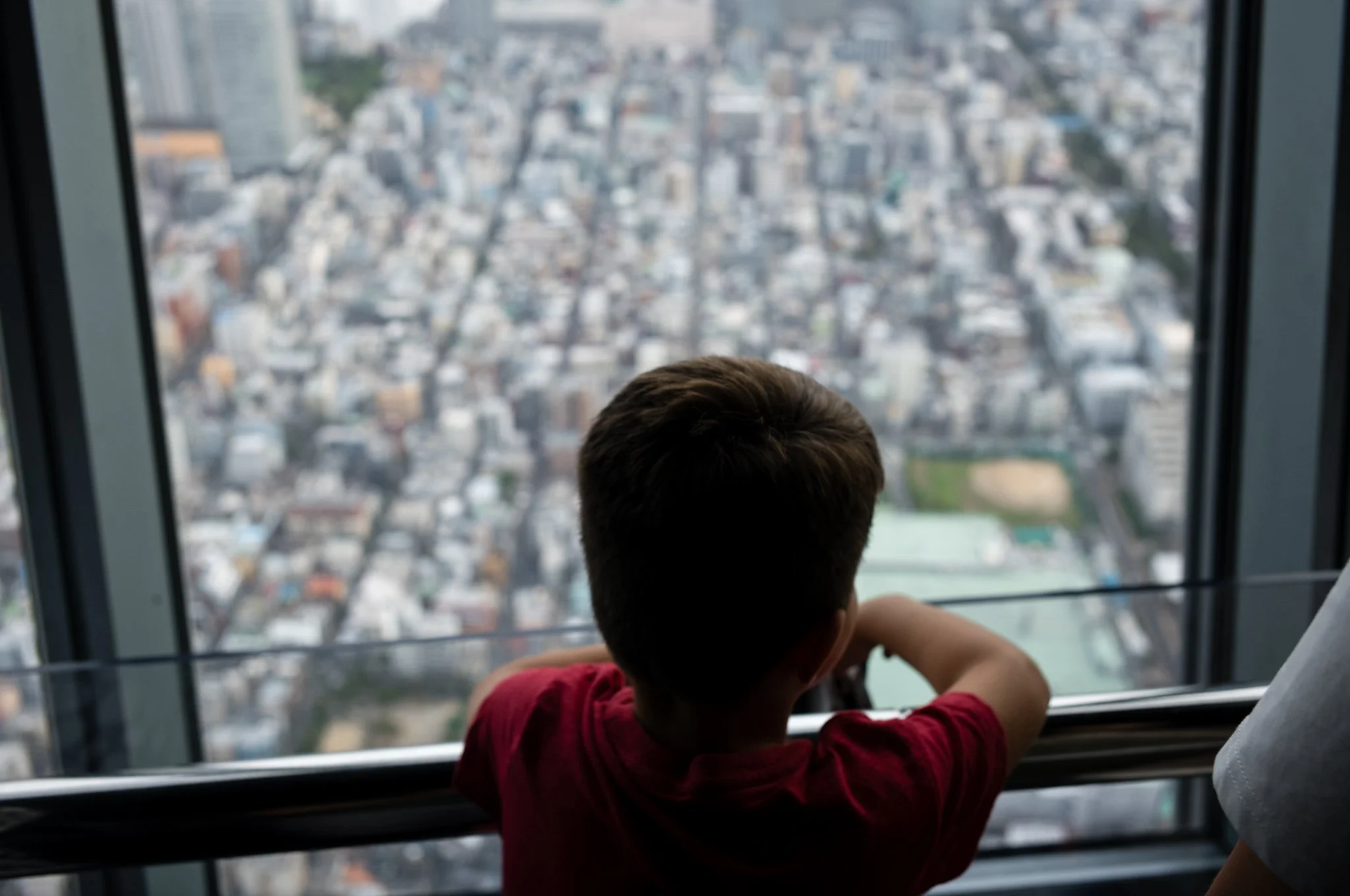 L1006032.jpg