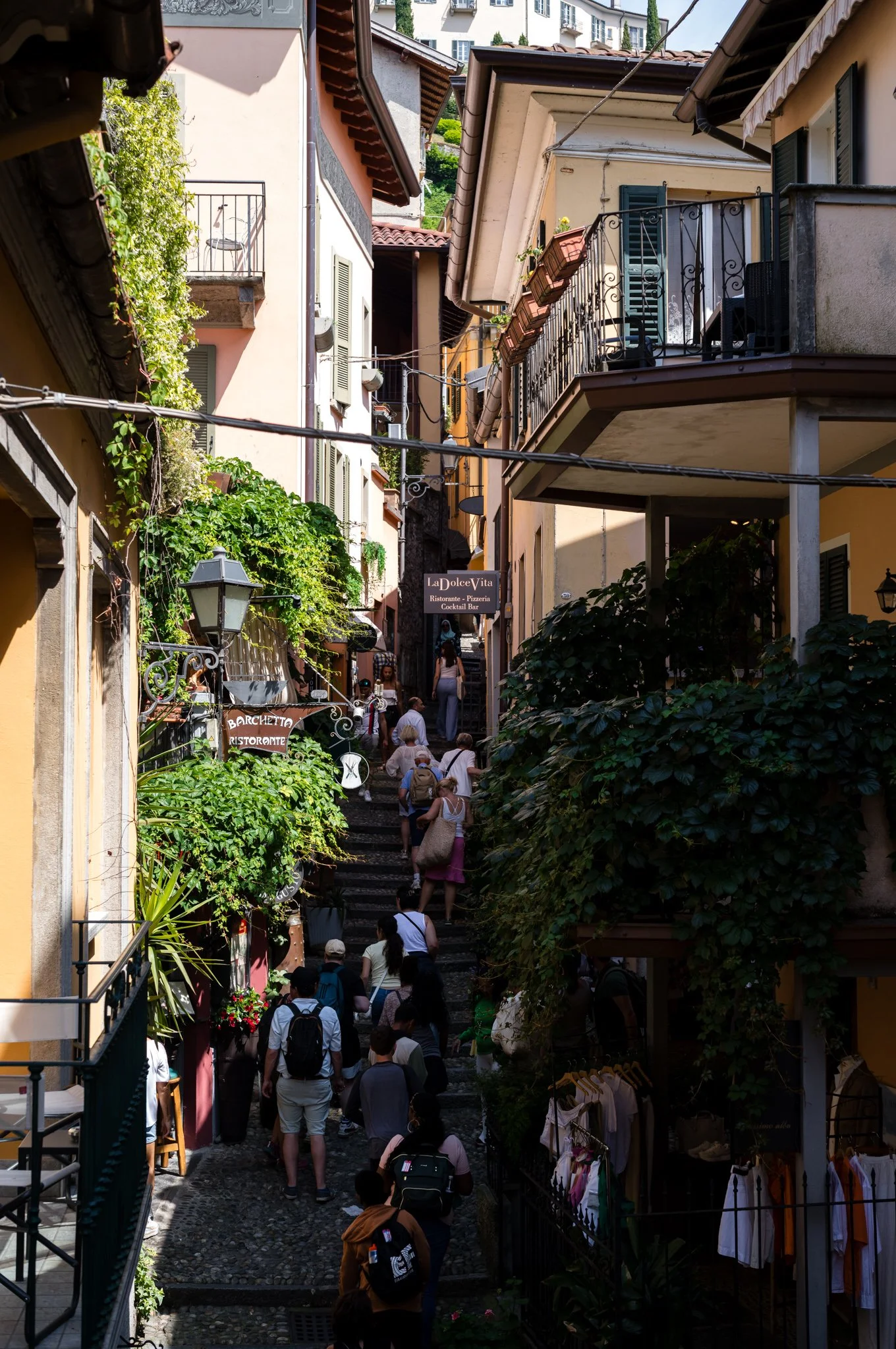 L1002936.jpg