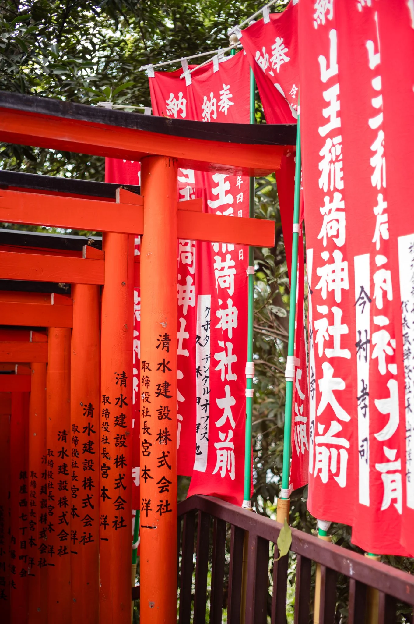 L1005595.jpg