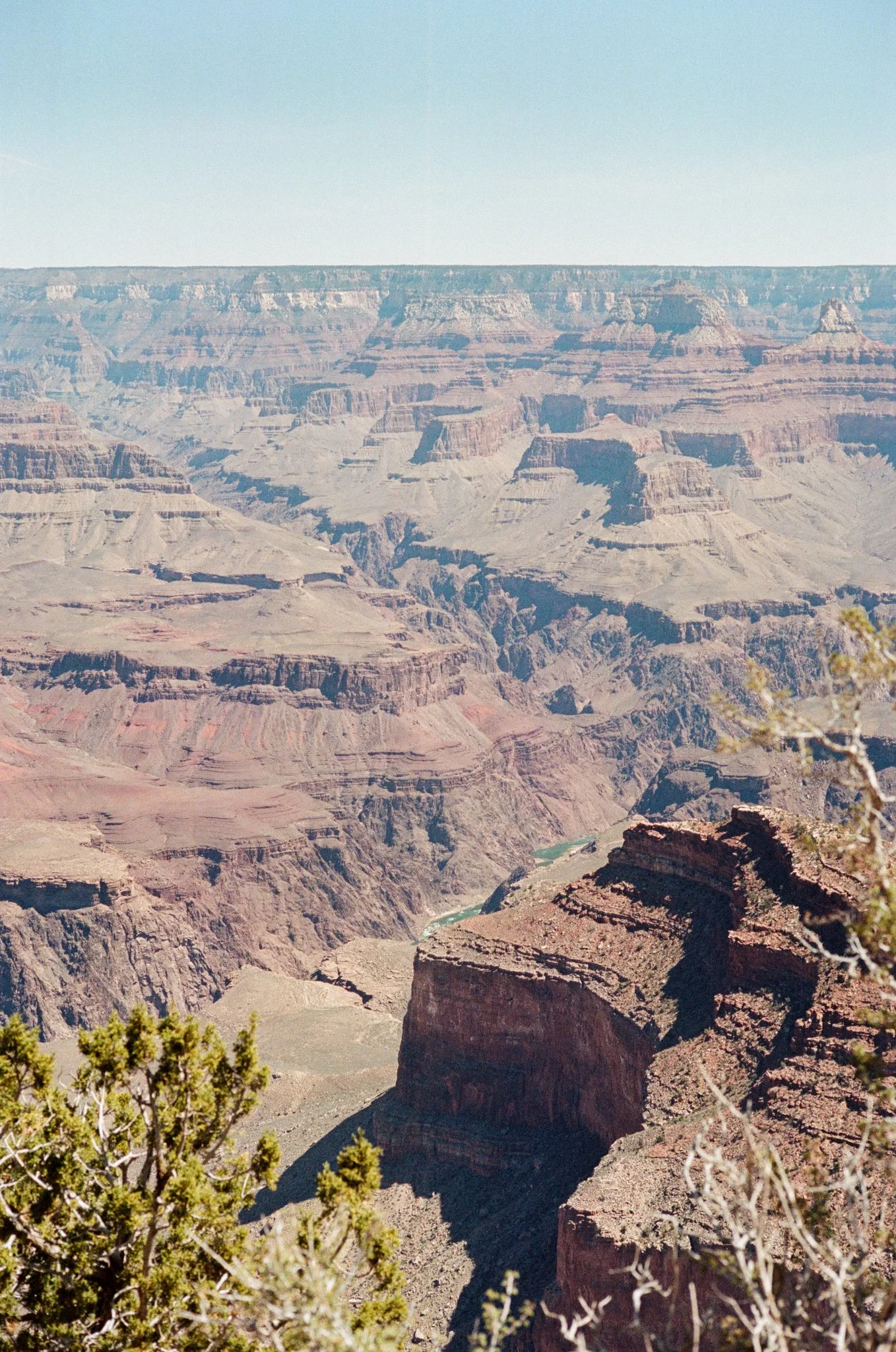 000458890021.jpg