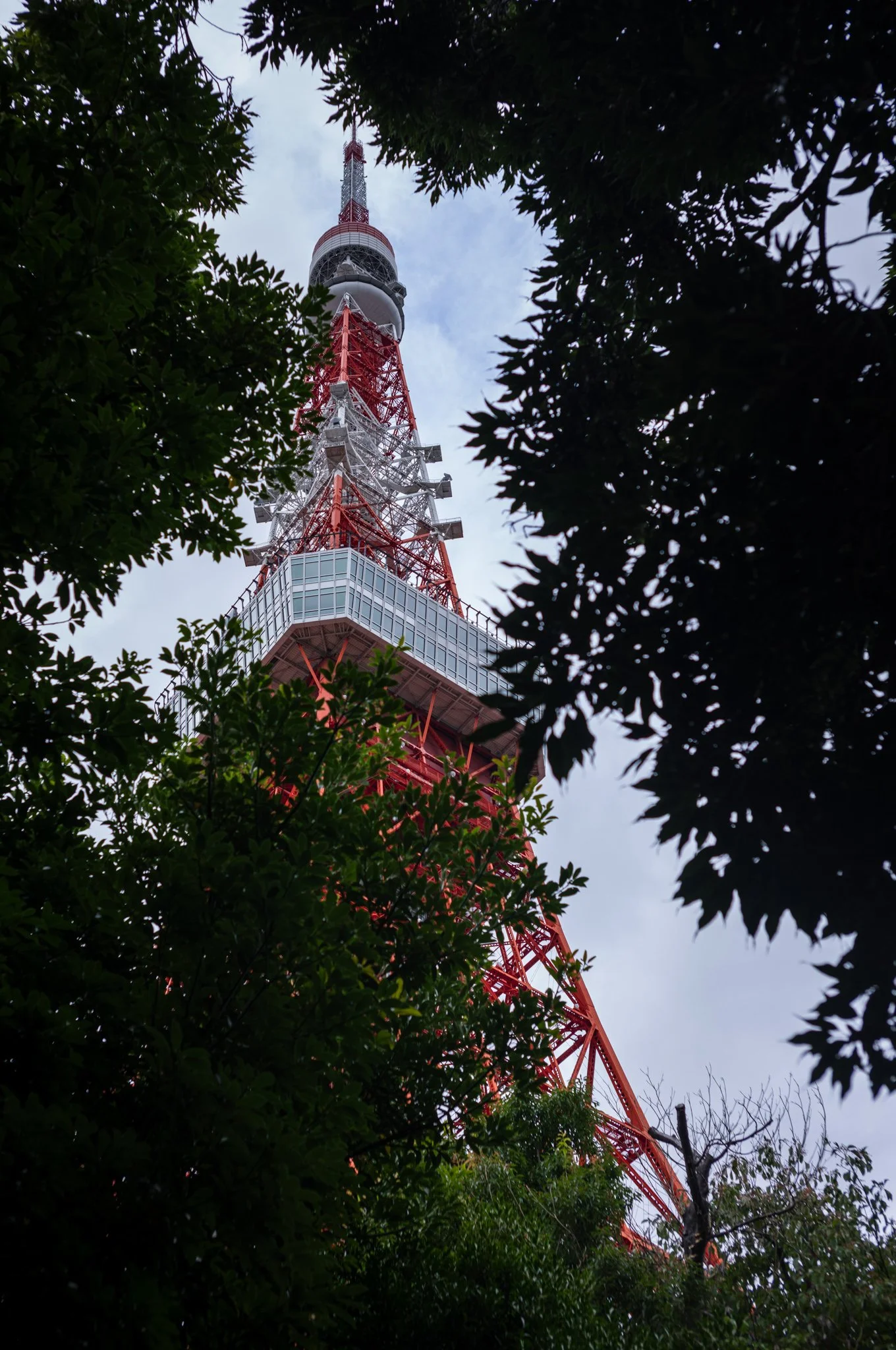 L1005653.jpg