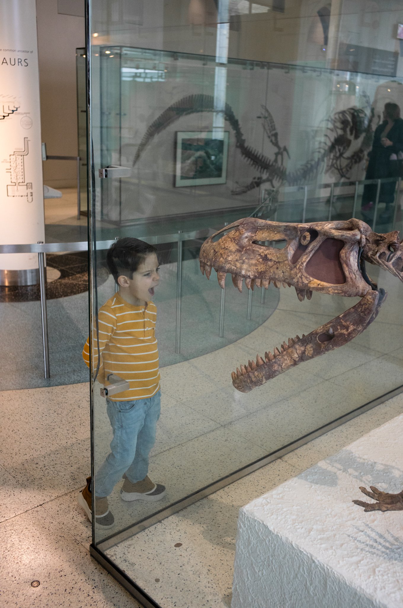 L1001485.jpg