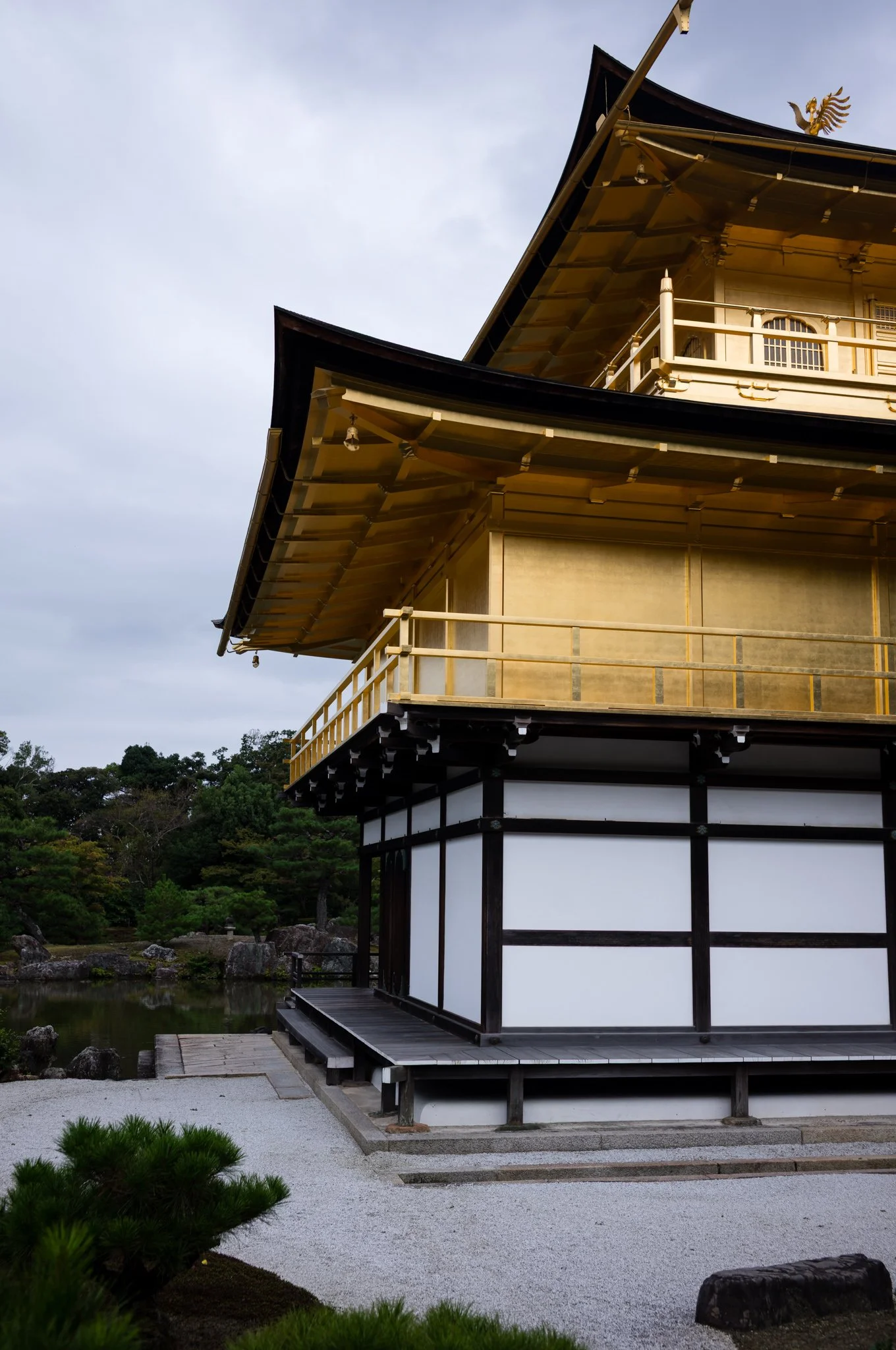 L1006590.jpg