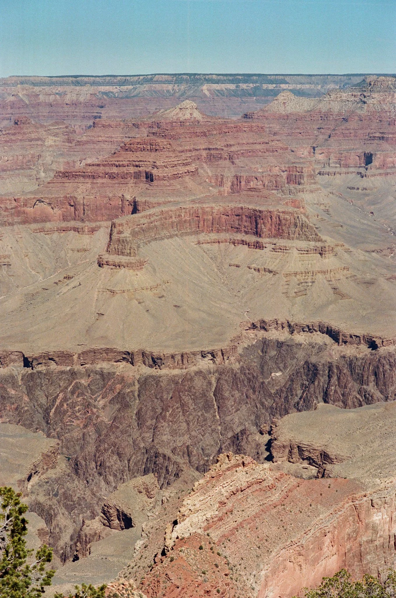 000458890013.jpg